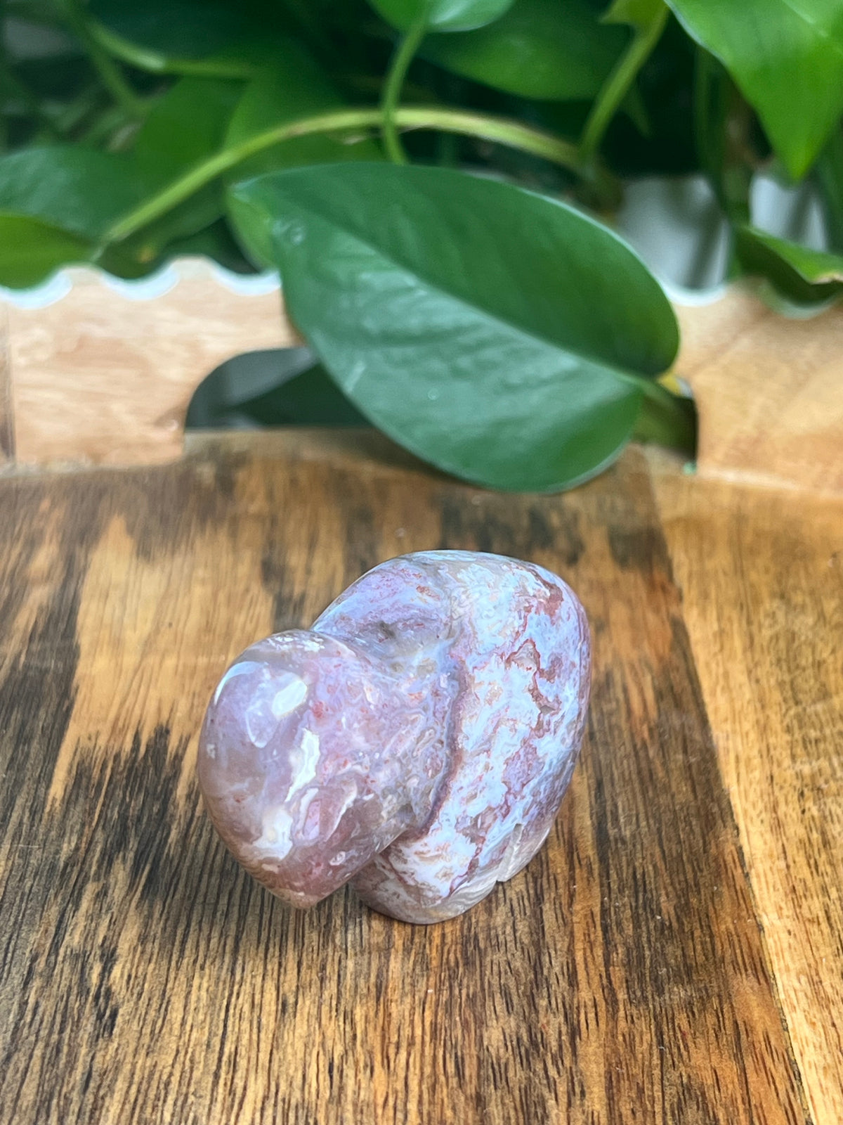 Sumatra Plume Agate Mini Buffalo: DK