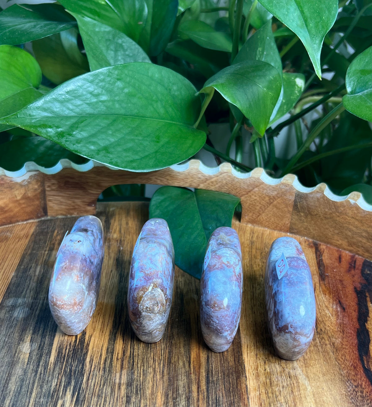 Sumatra Plume Agate Mini Buffalos