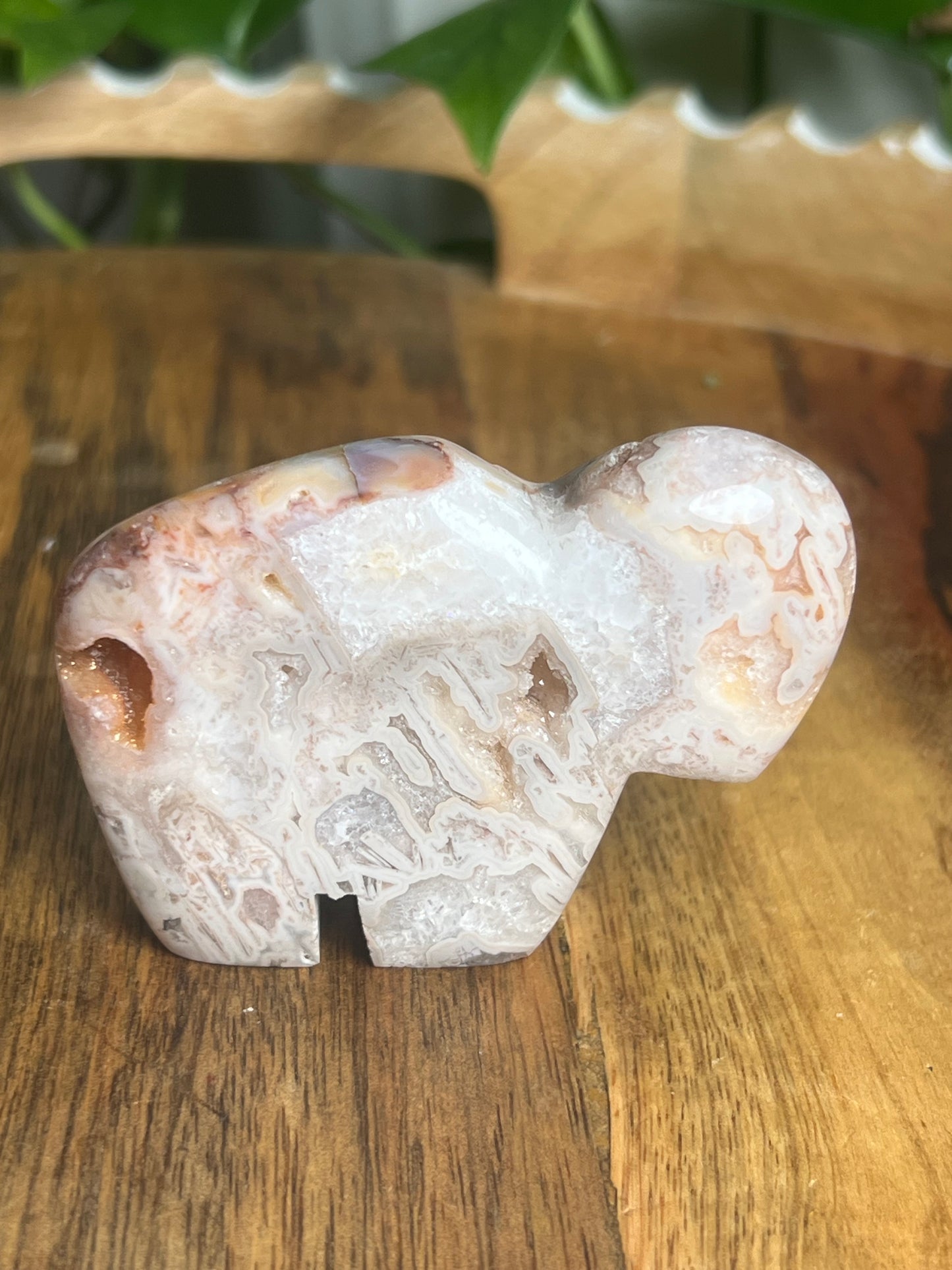 Tube Agate Buffalo KB