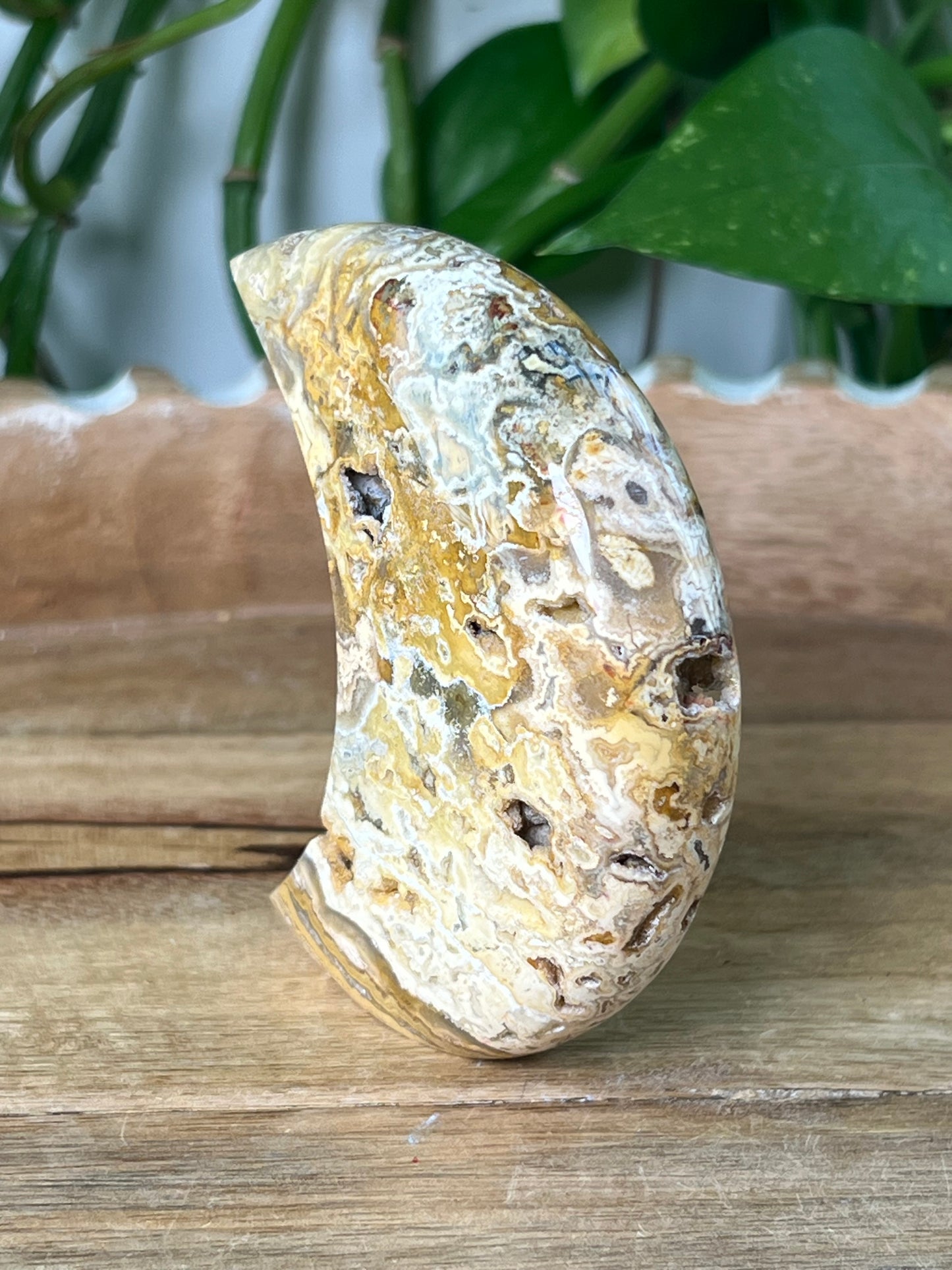 Crazy Lace Agate Moon