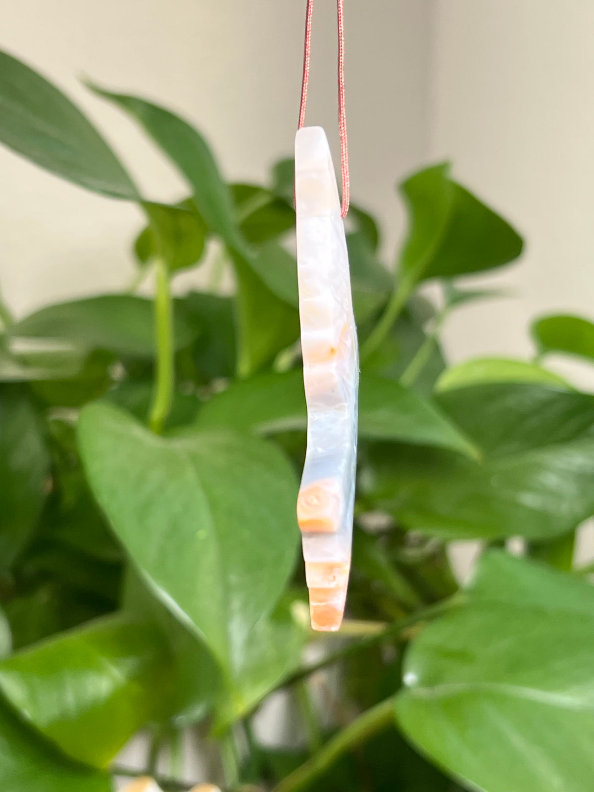 Rainbow Plume Agate Hummingbird: LC