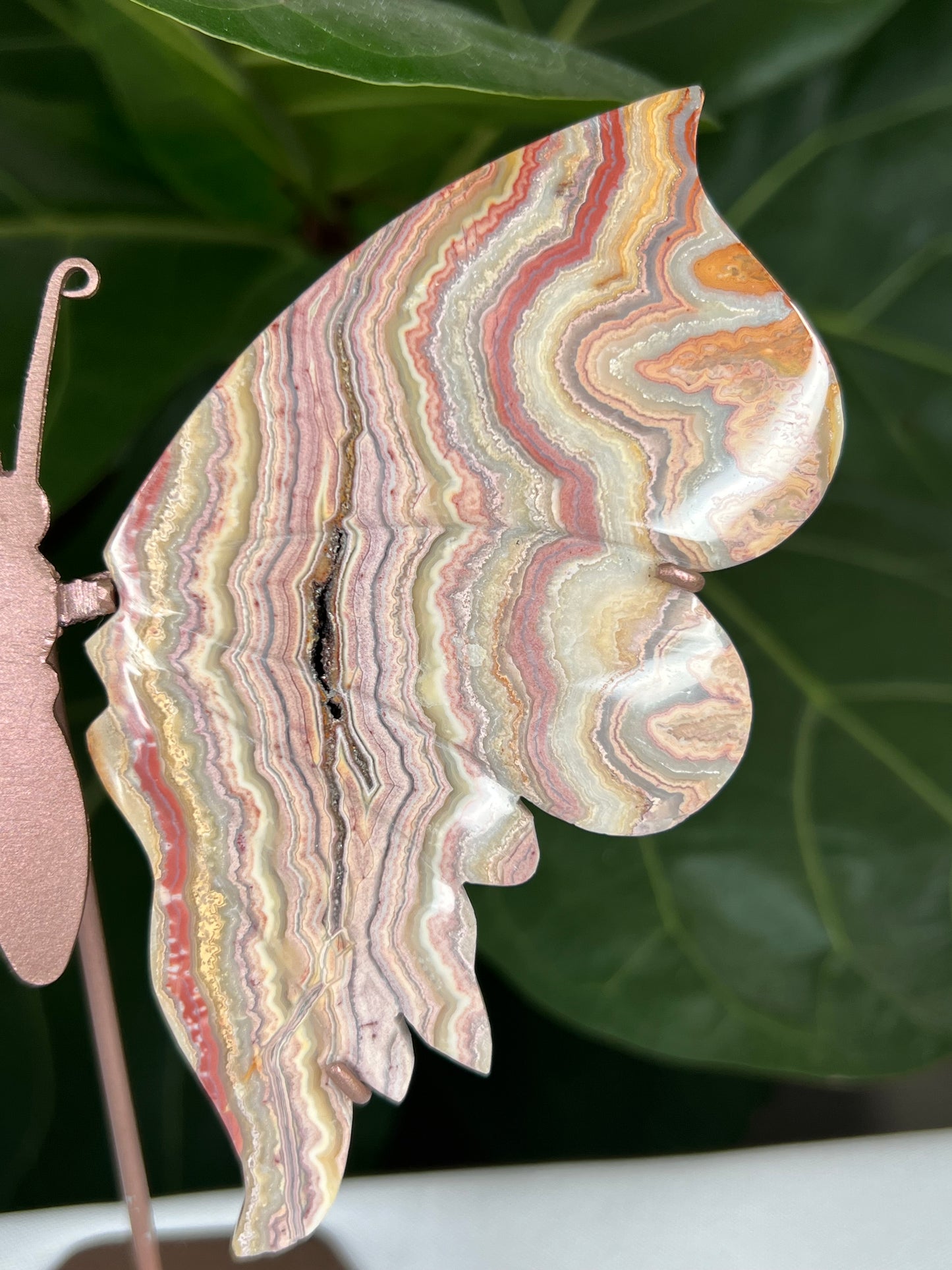 Crazy Lace Agate Wings