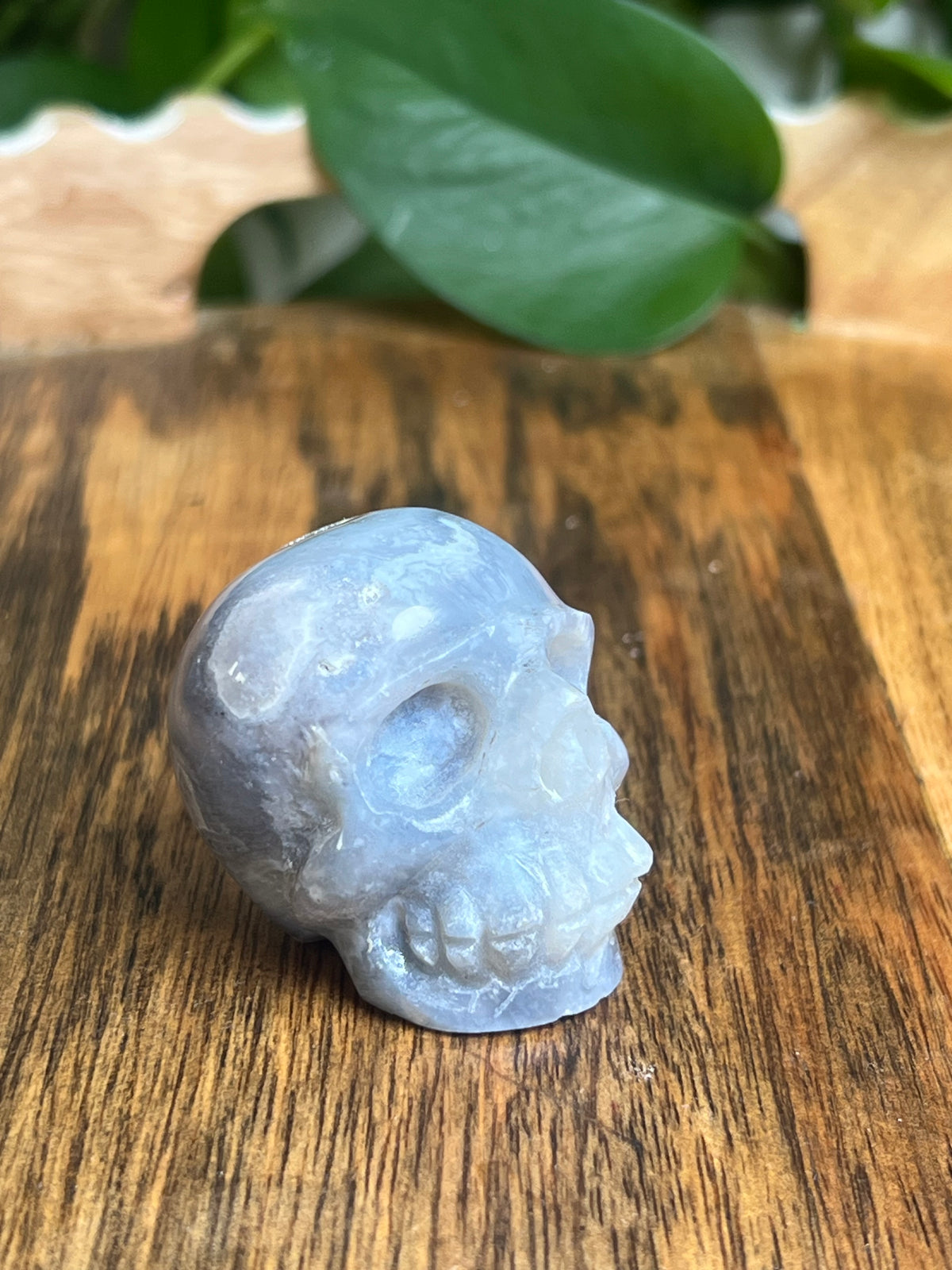 Blue Plume Agate Skull: G