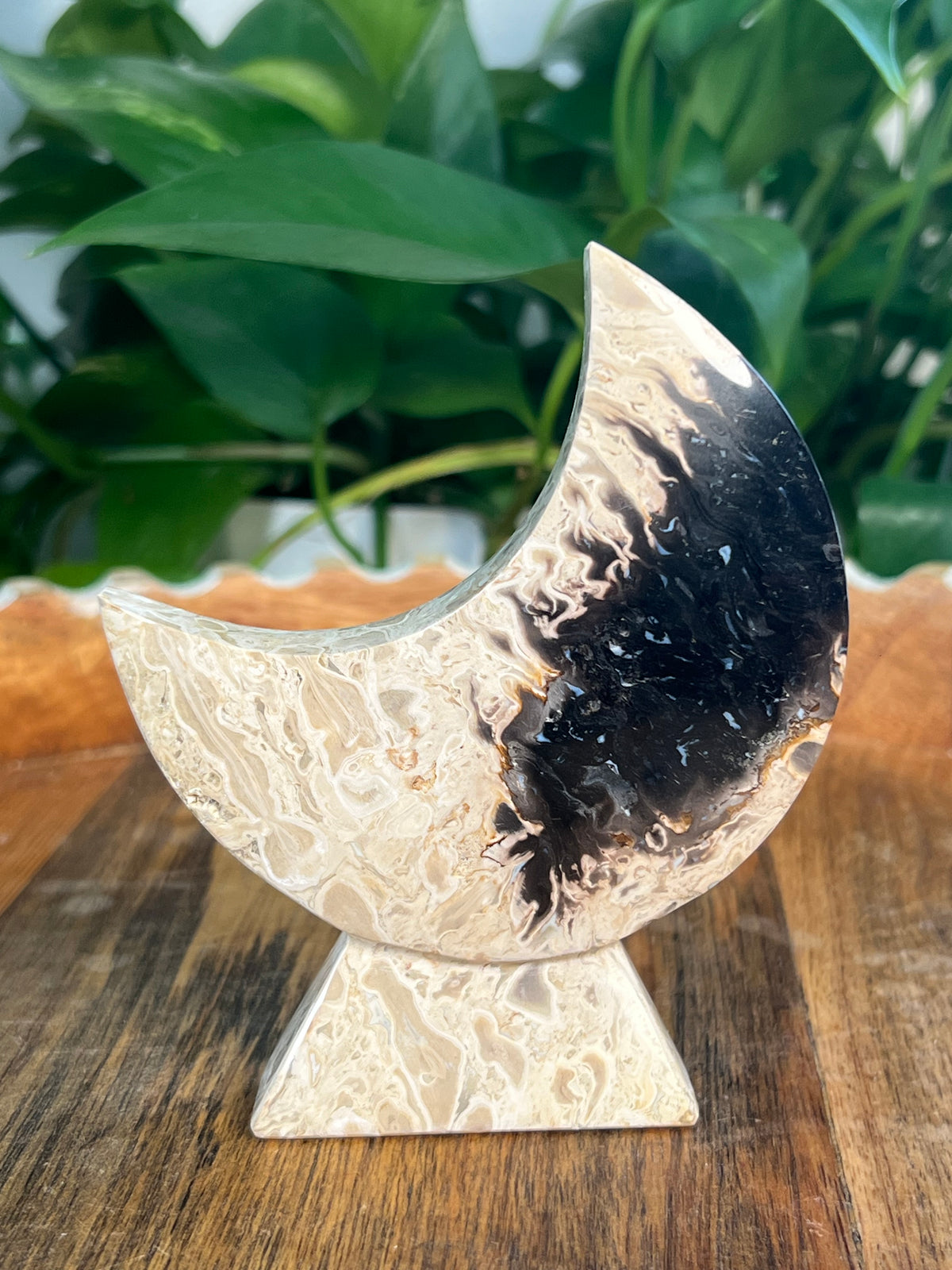 Palm Root Self Standing Moons