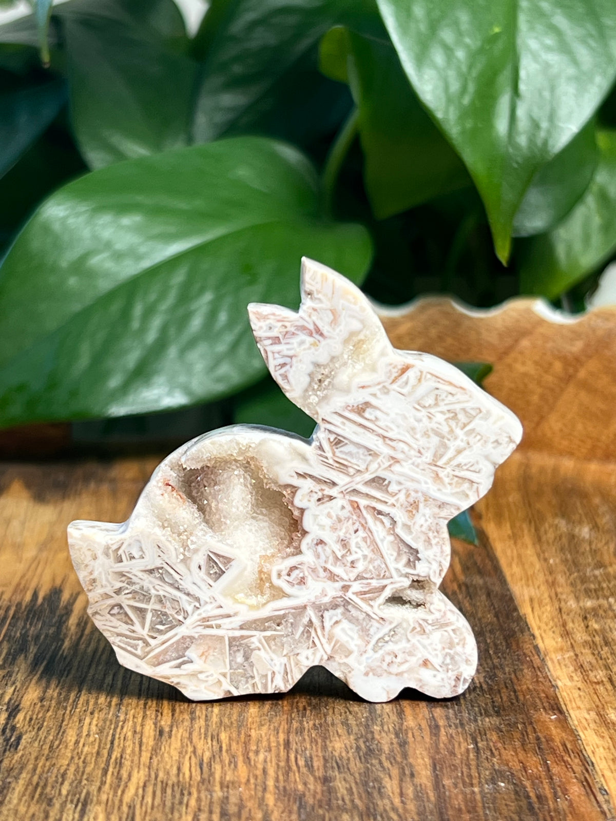 Tube Agate Bunnies
