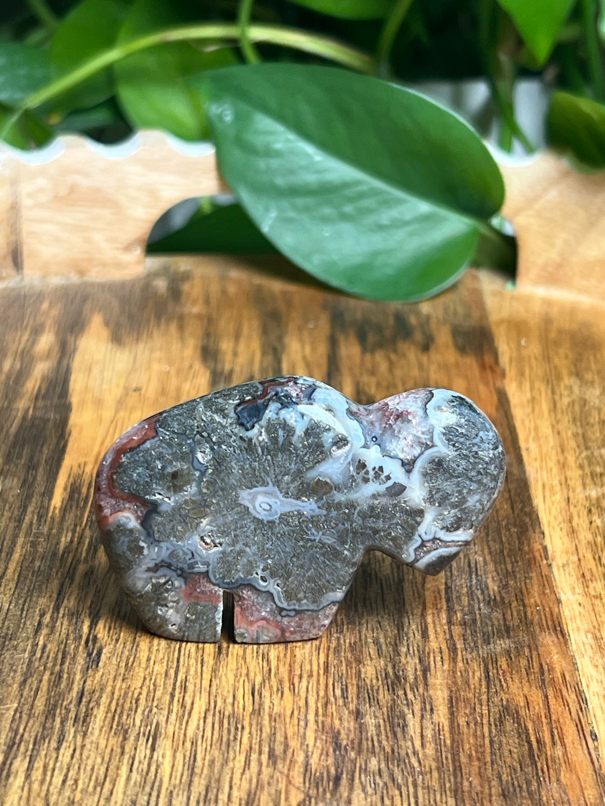 Marcasite Mini Buffalo: ML