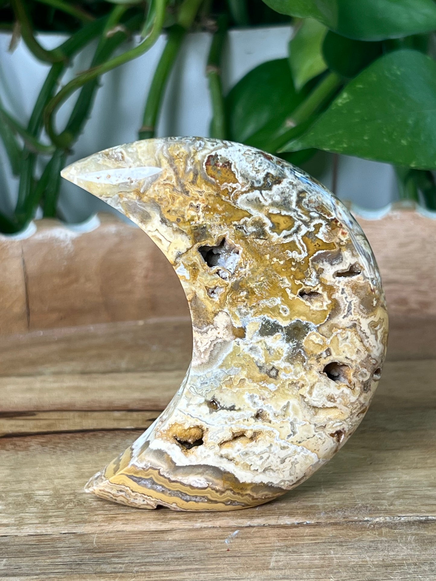Crazy Lace Agate Moon