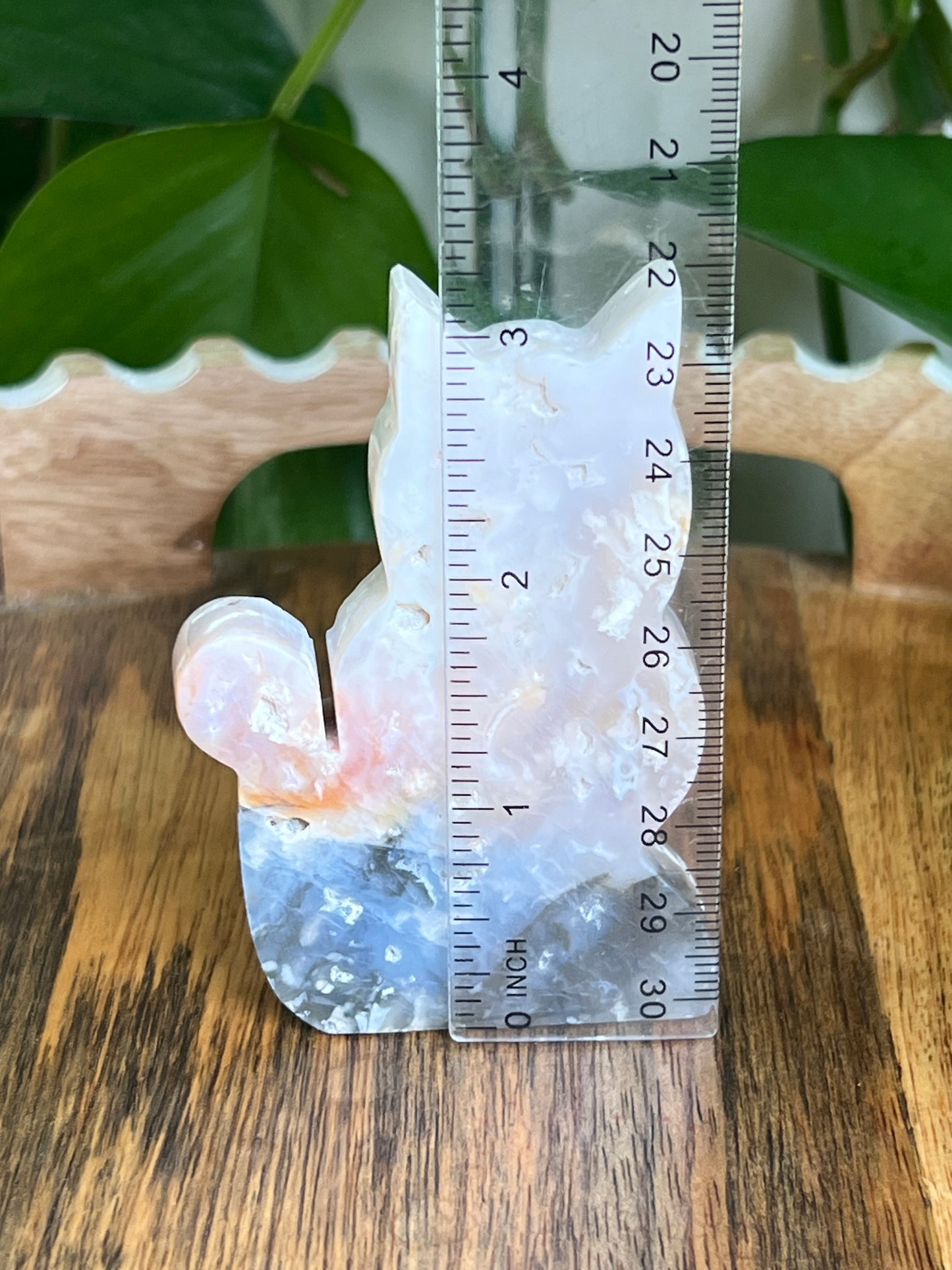Rainbow Plume Agate Cat NX