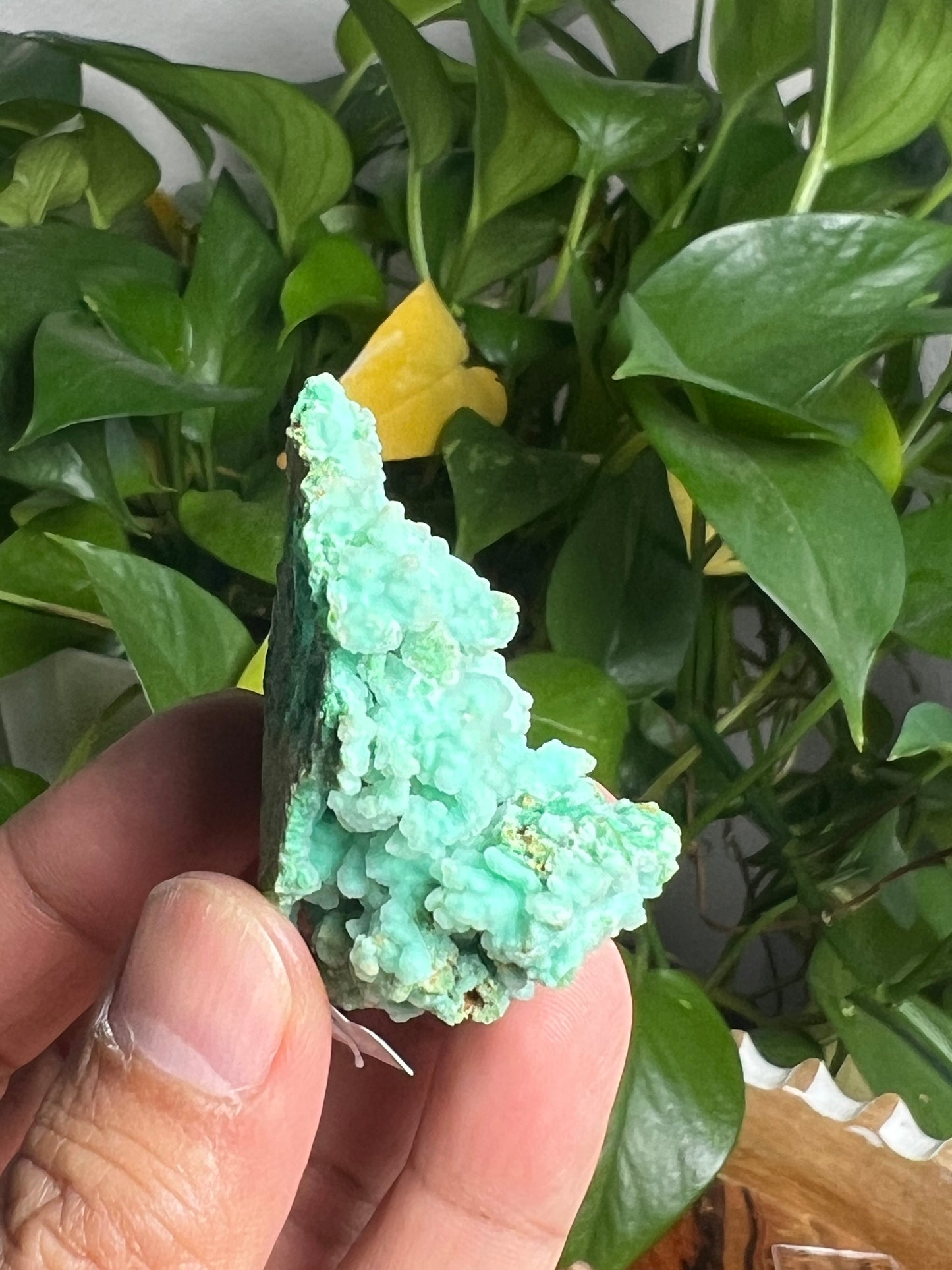 Smithsonite Specimen KB