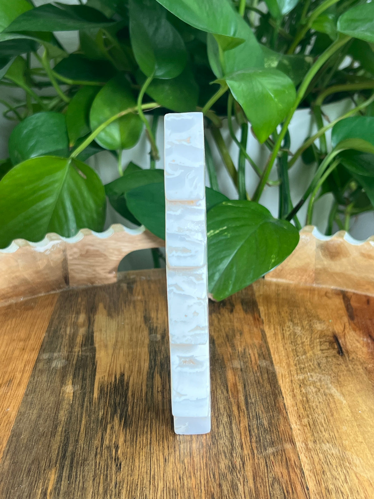 White Plume Agate Tree: BK