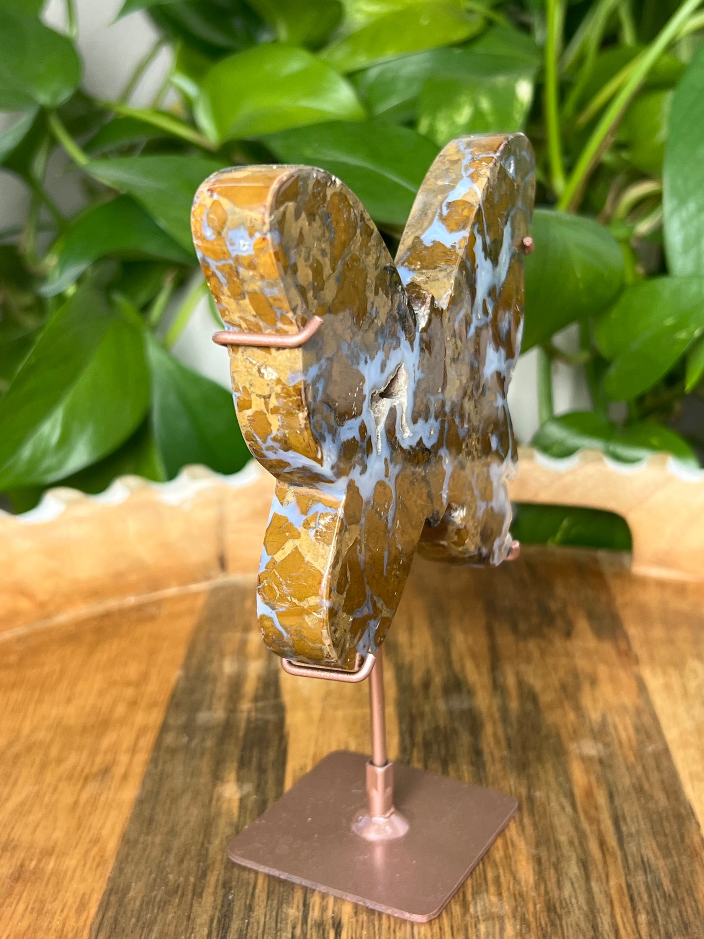 Brecciated Jasper Butterfly