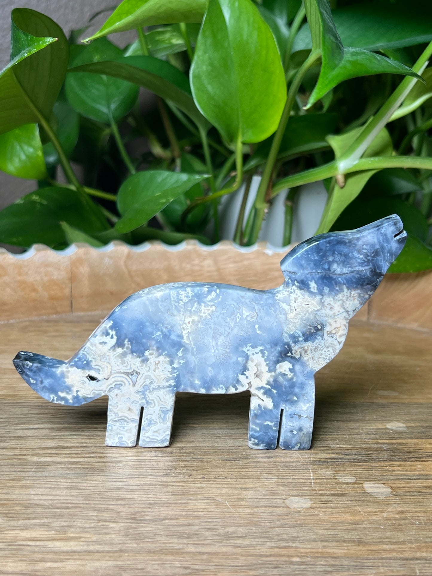 Blue Plume Agate Dog