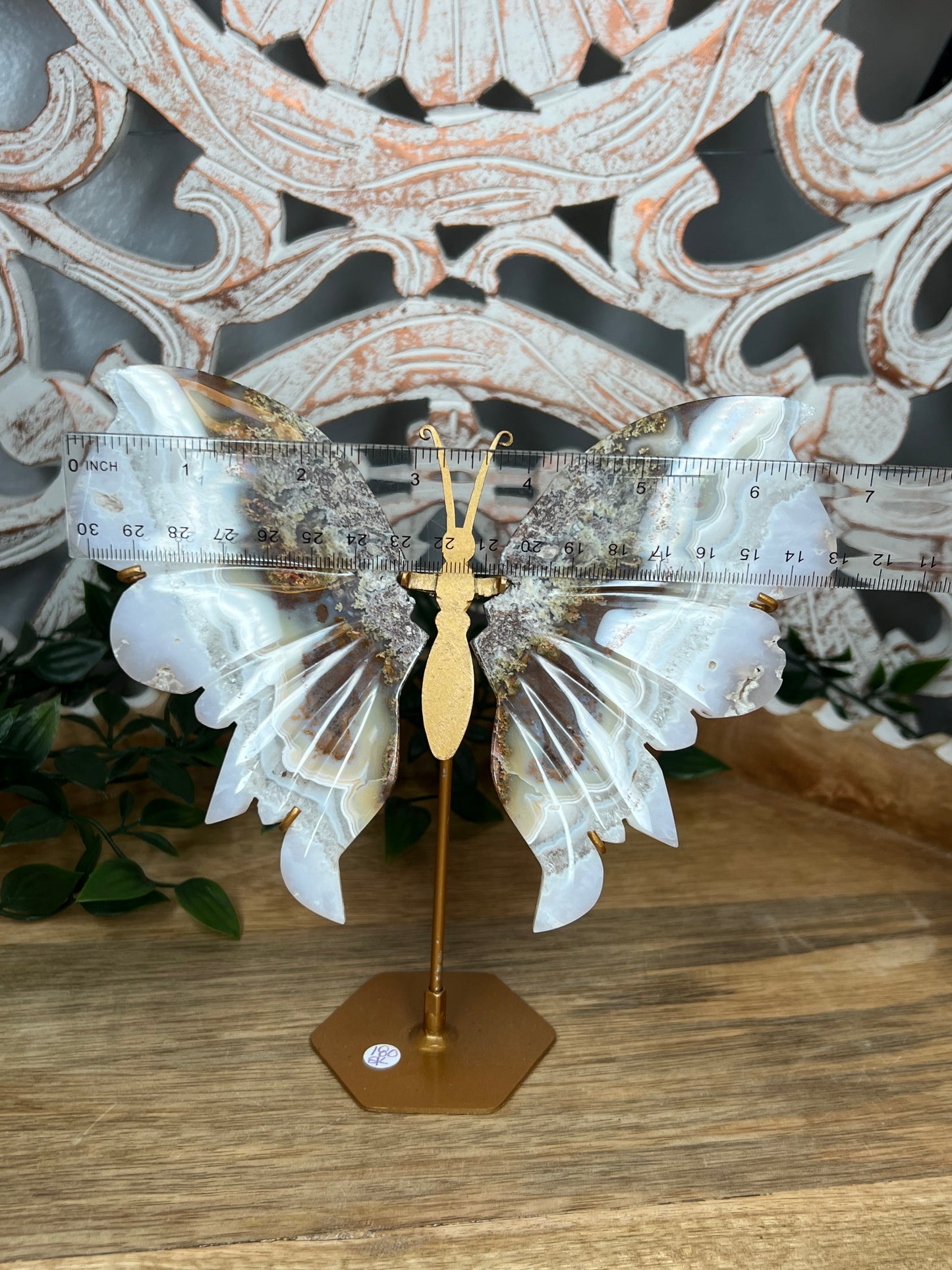 Scenic Moss Agate Wings