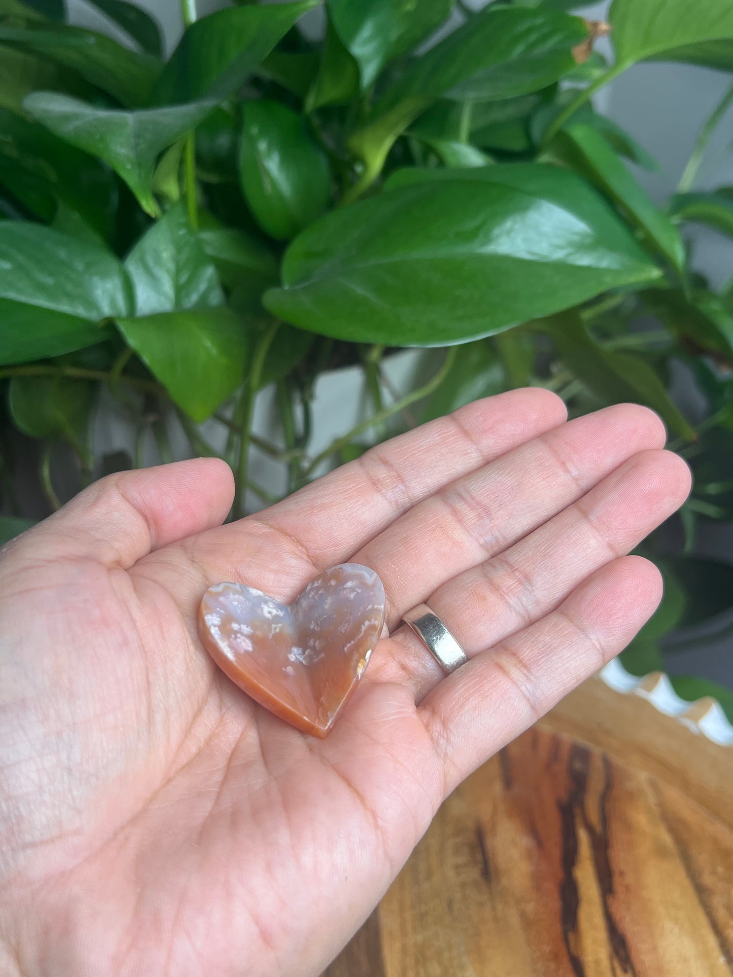 Flower Carnelian 3D Butterfly Heart: BN