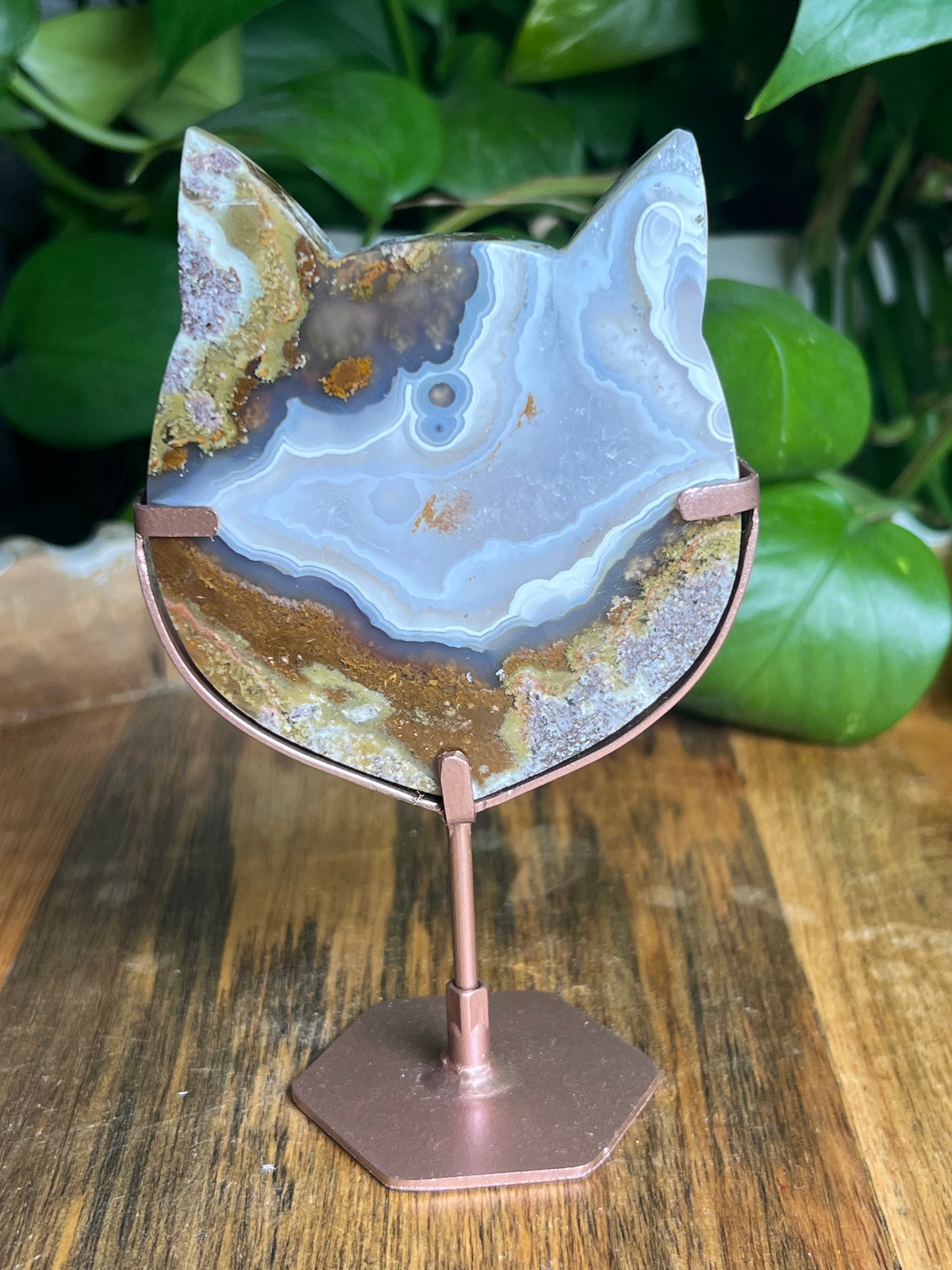 Scenic Moss Agate Cat Head