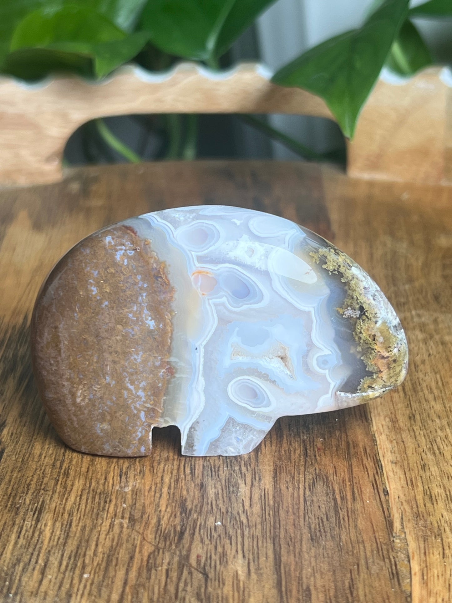 Scenic Moss Agate Bear BC