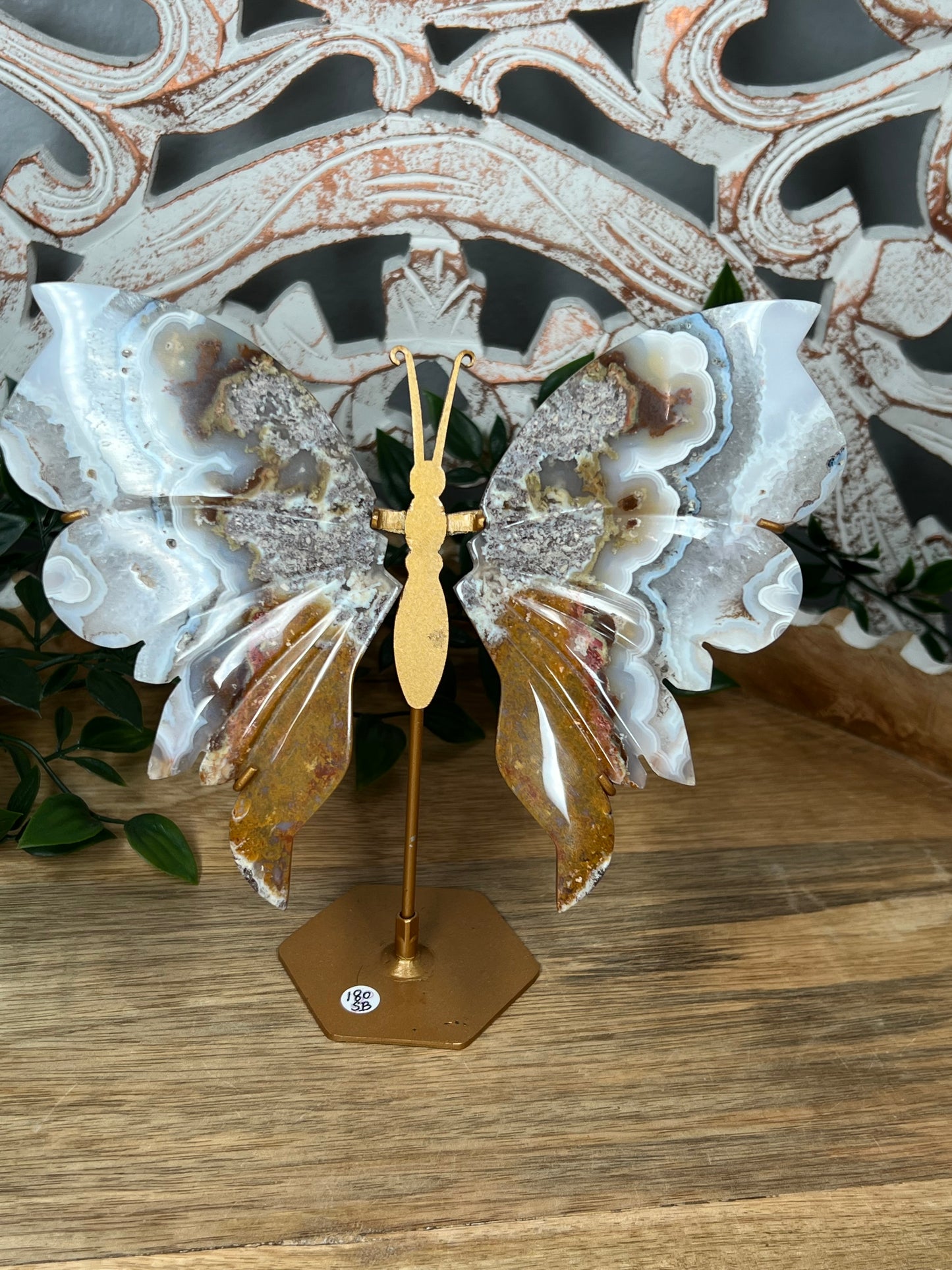 Scenic Moss Agate Wings