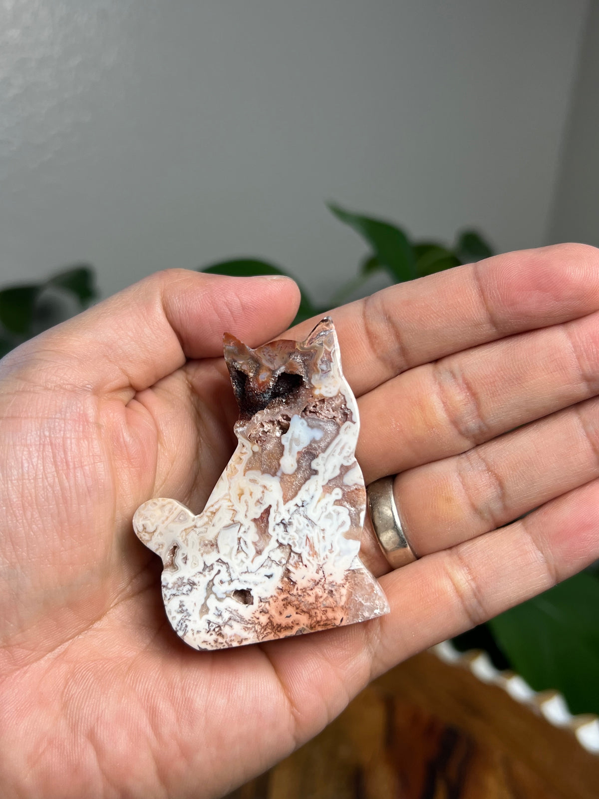 Tube Agate Mini Cats