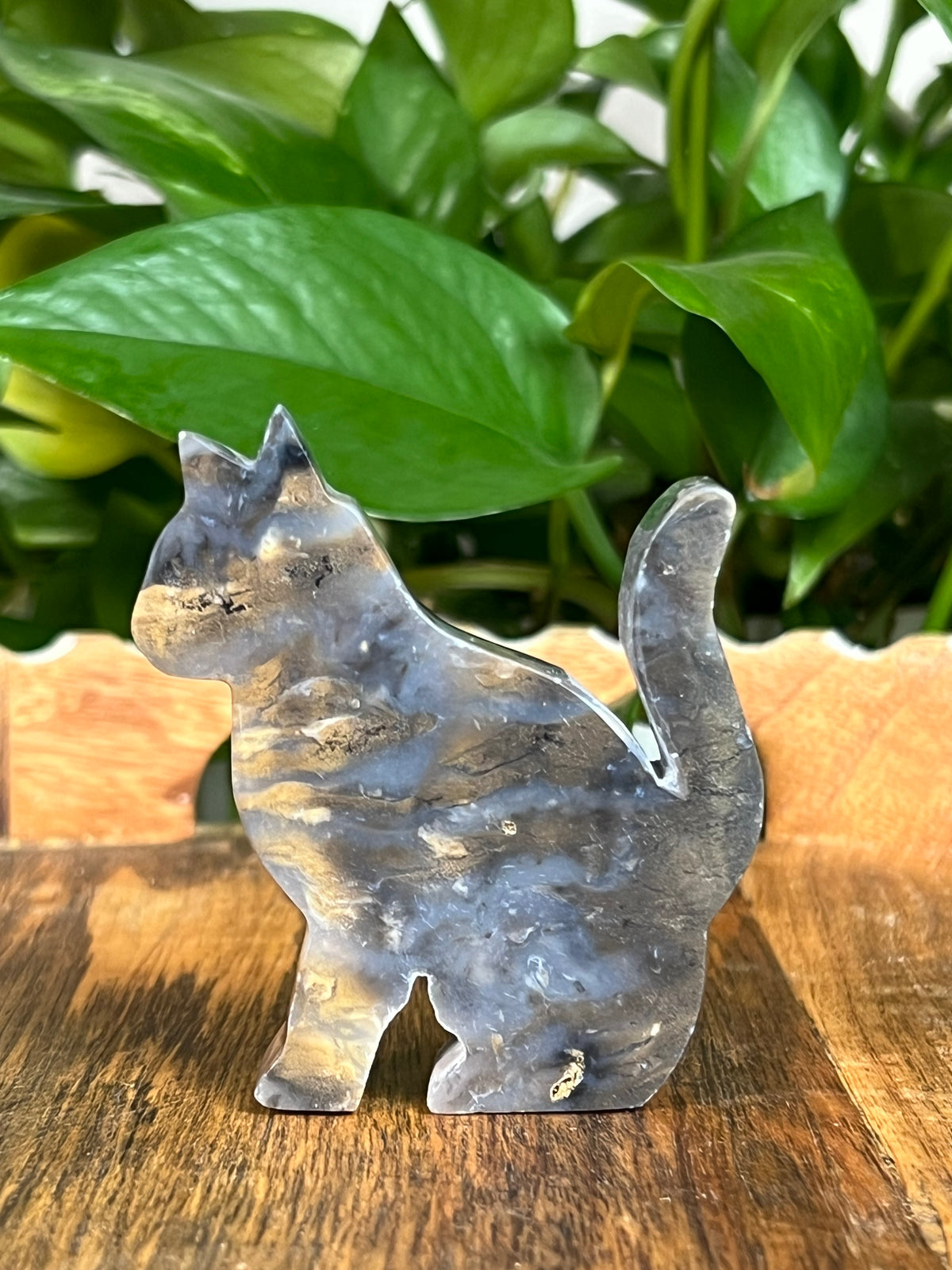Dendritic Tiger Agate Cats