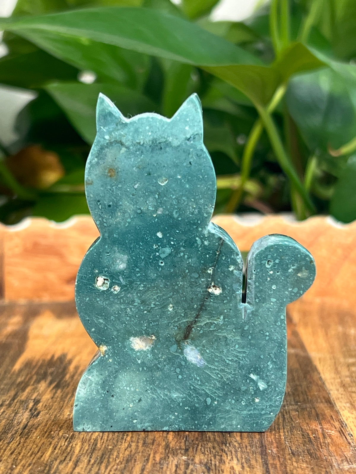Blue Green Jasper Cats