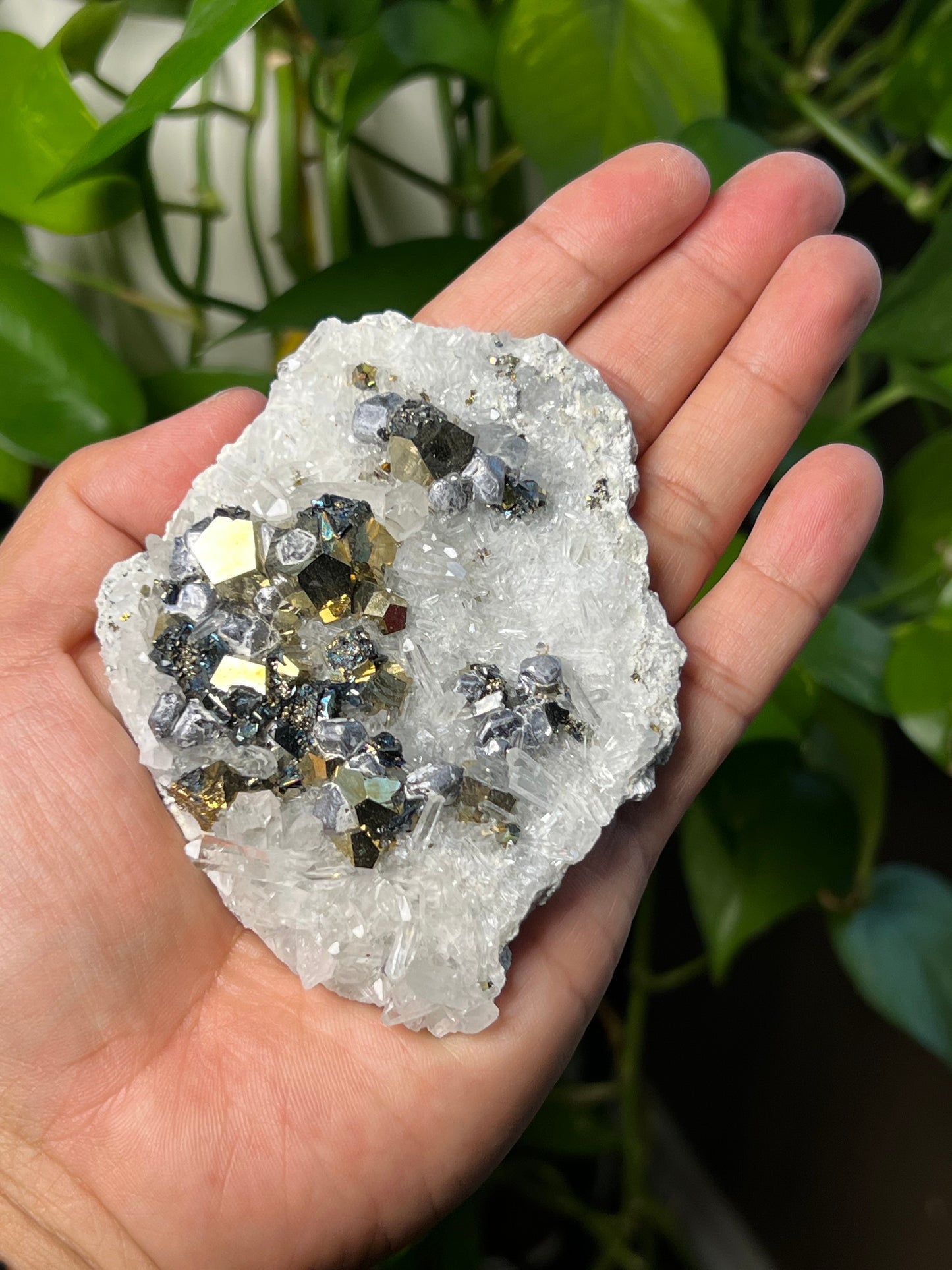 Rainbow Pyrite Quartz