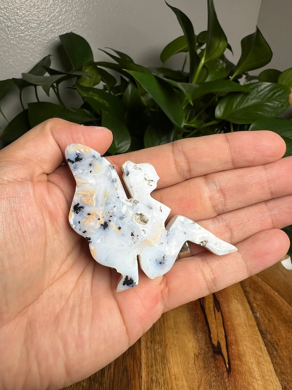 Dendritic Tiger Agate Fairy: AB