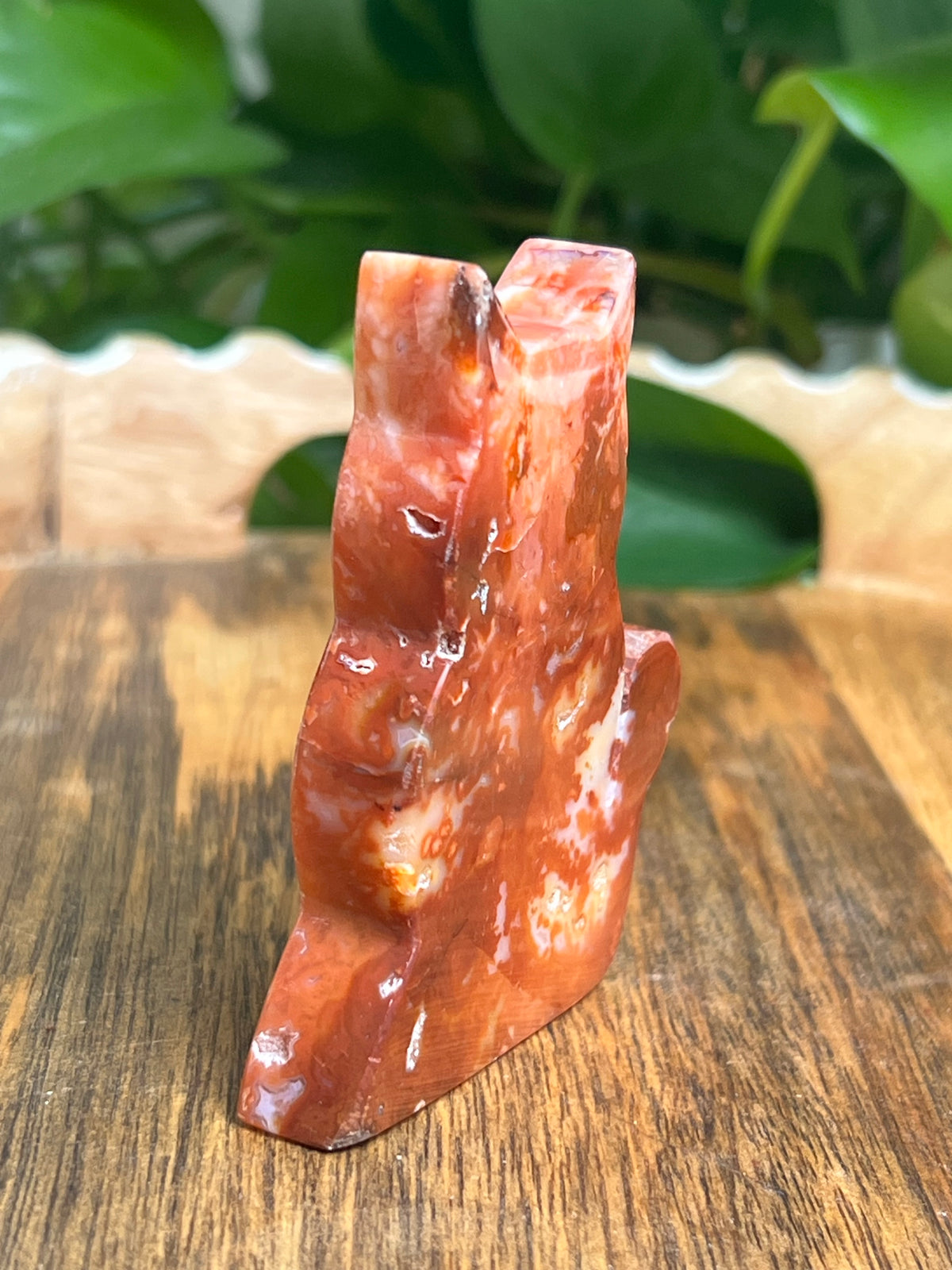 Carnelian Cat: PC