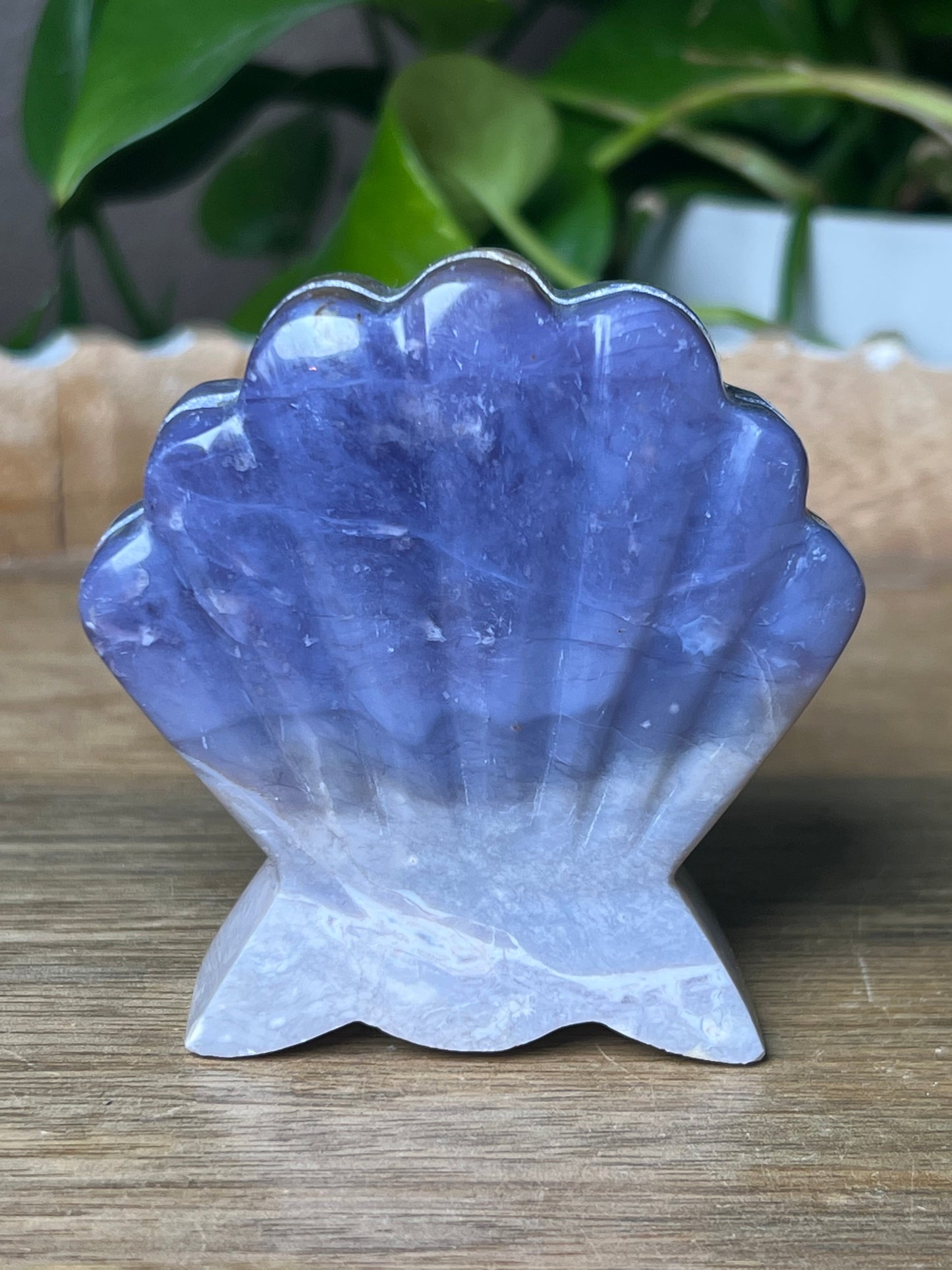 Purple Chalcedony Shell