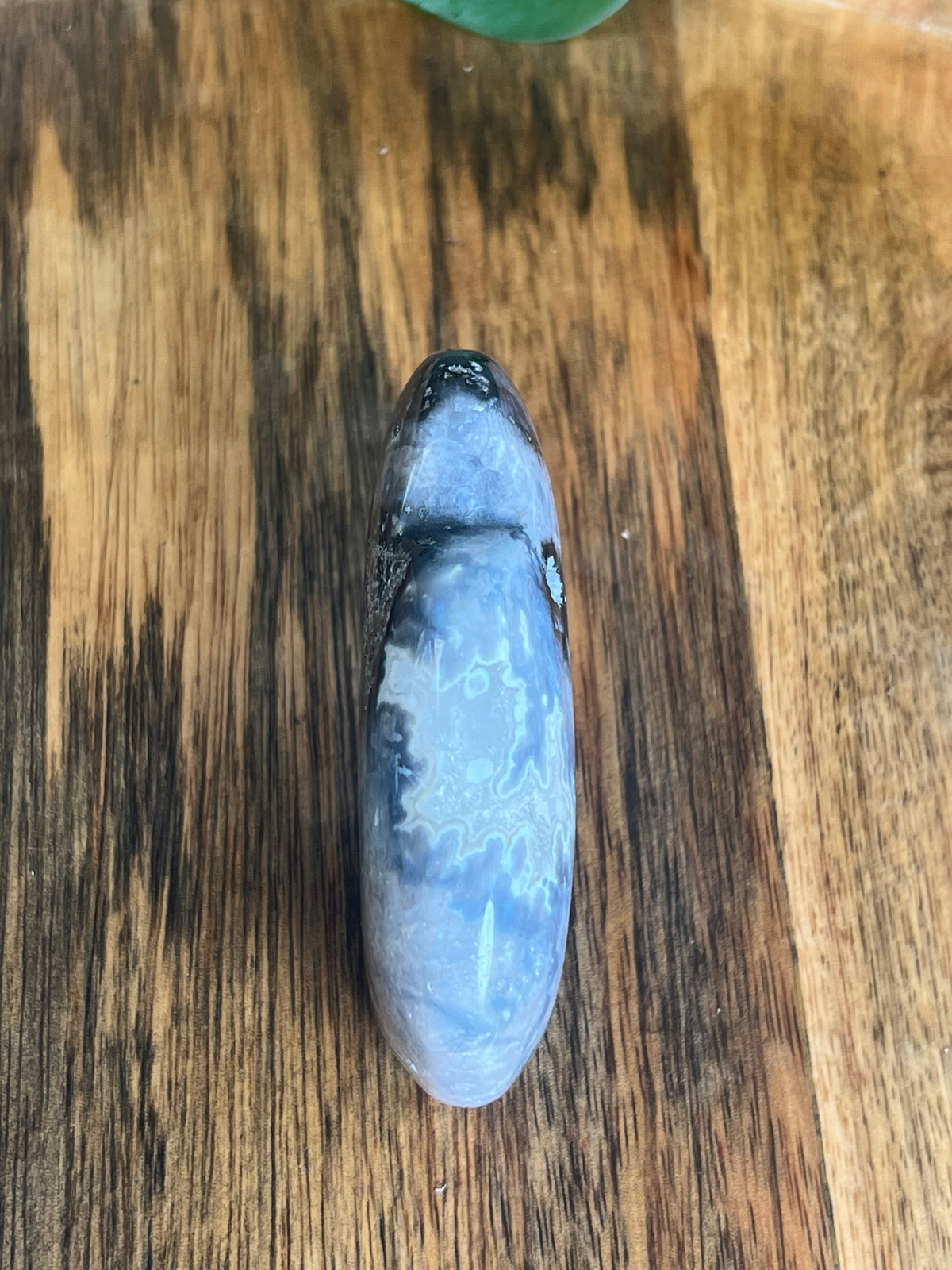 Blue Plume Agate Buffalo: BA