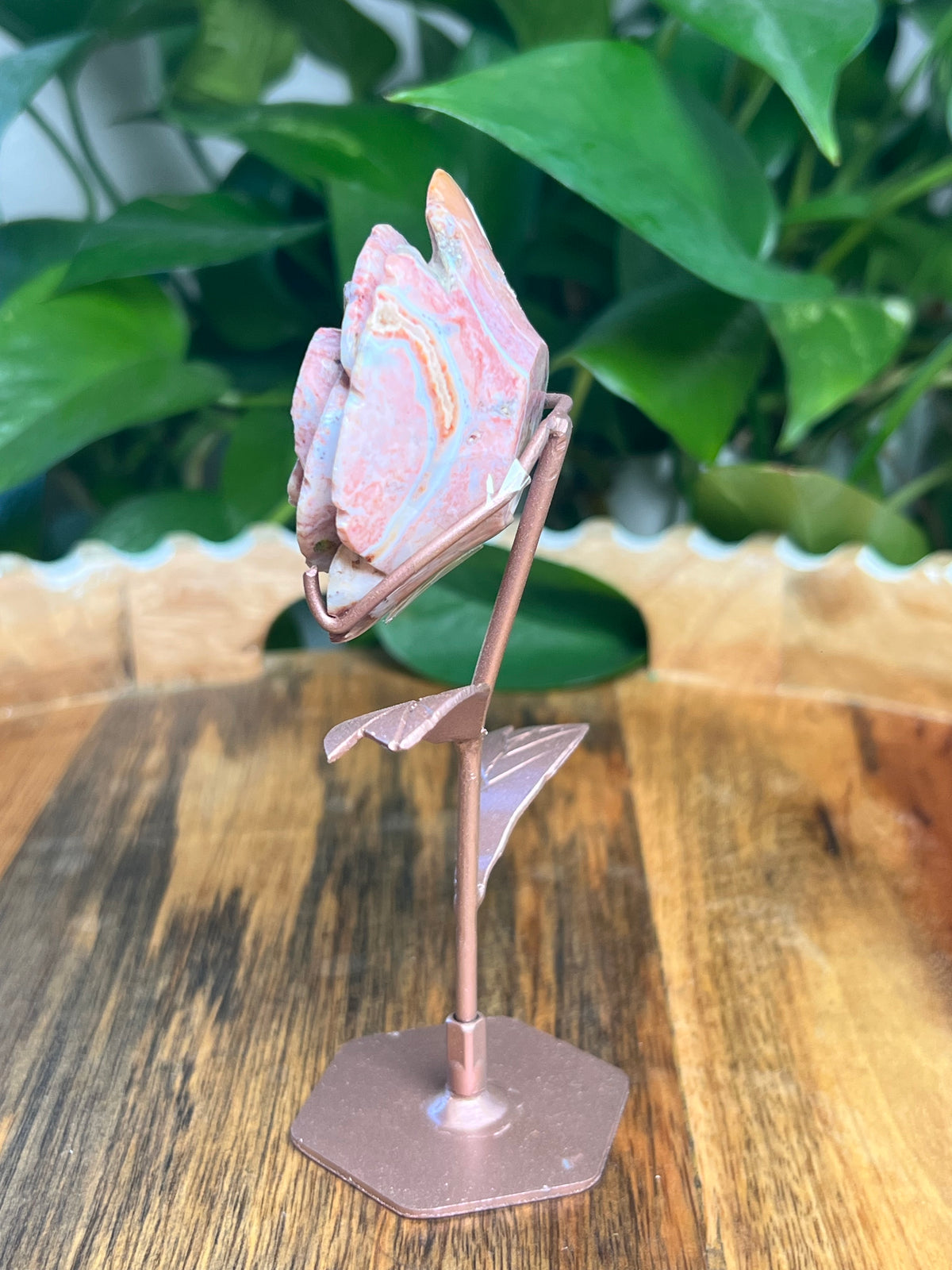 Pink River Jasper Rose: AB