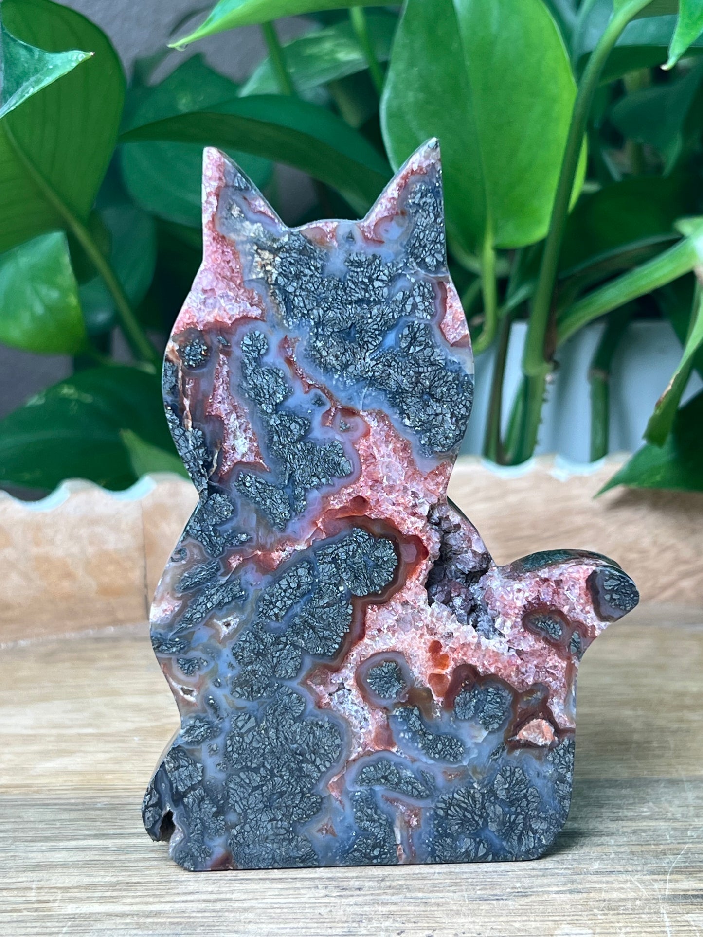 Marcasite Cat