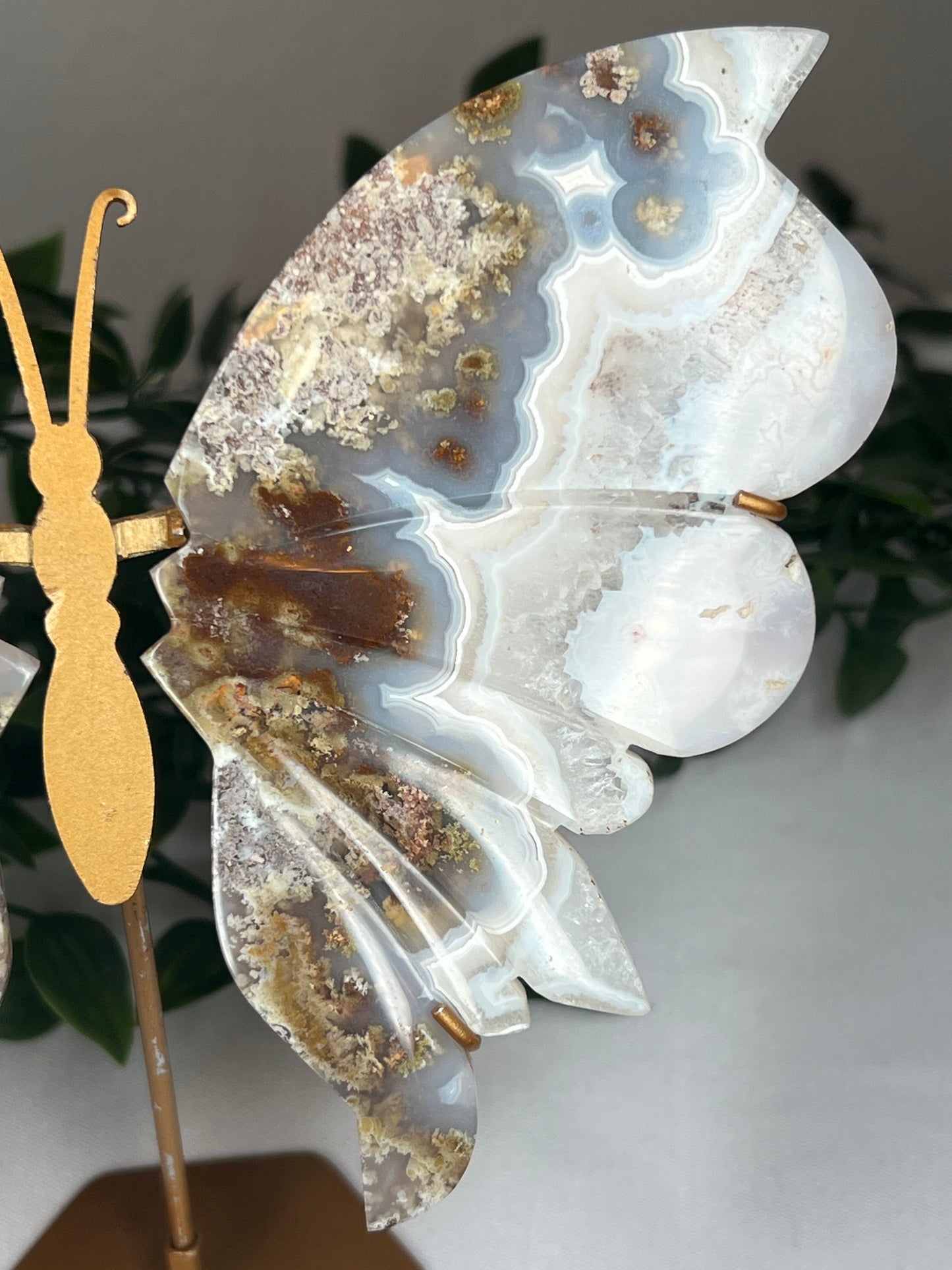 Scenic Moss Agate Wings