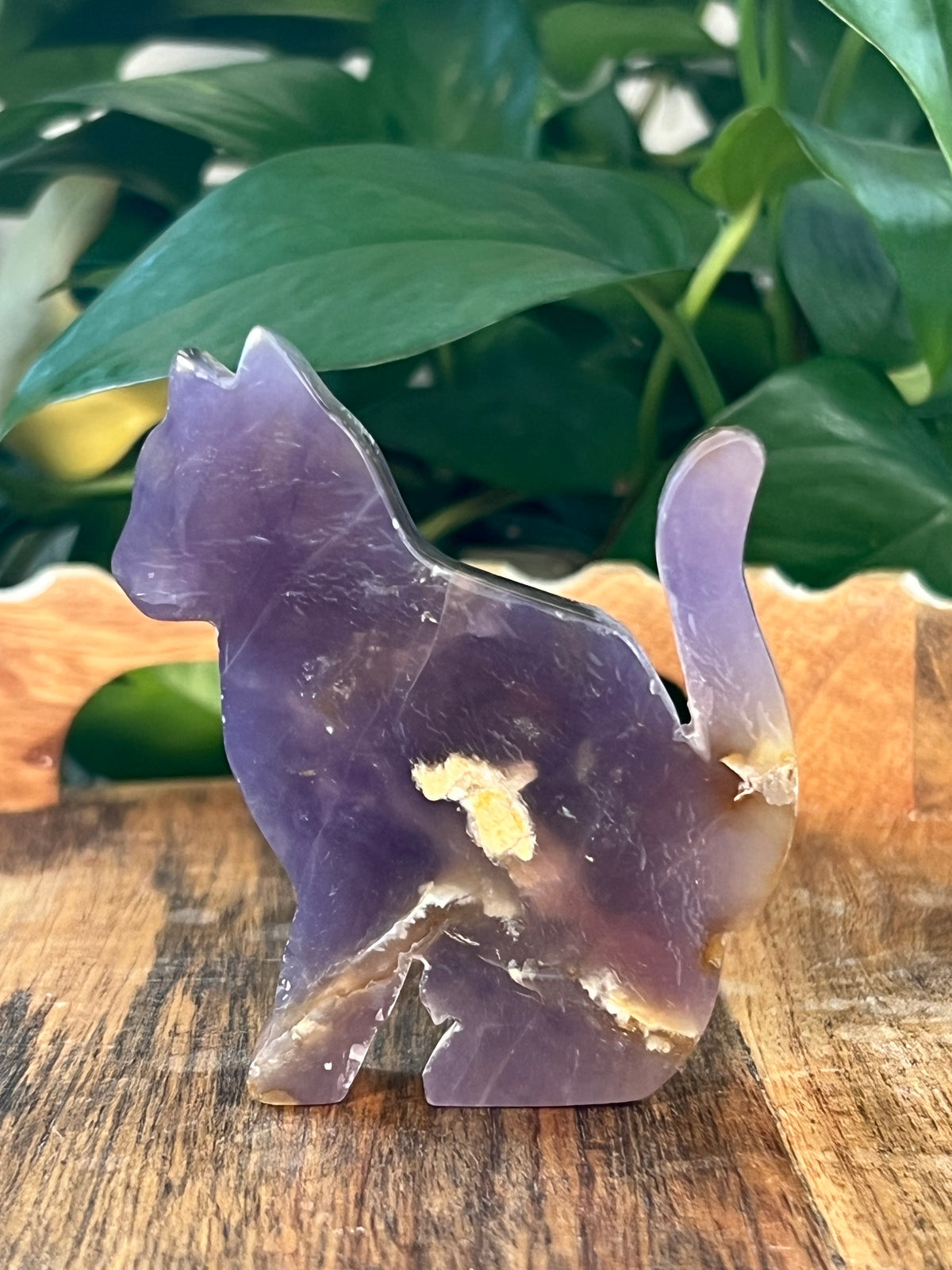 Purple Chalcedony Cats