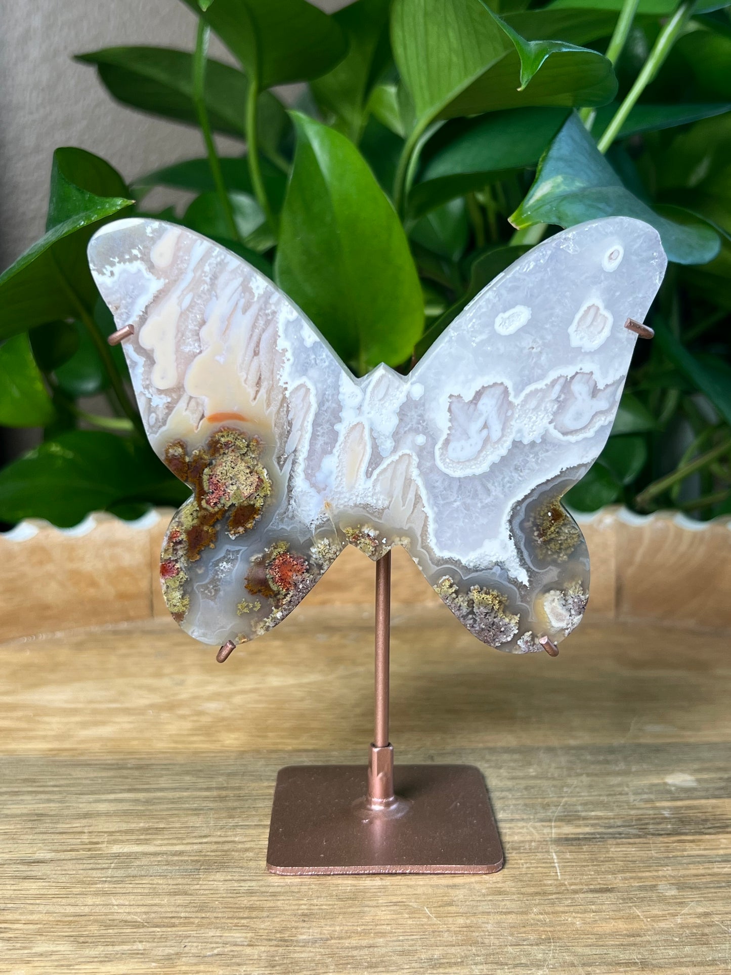 Scenic Moss Agate Butterfly