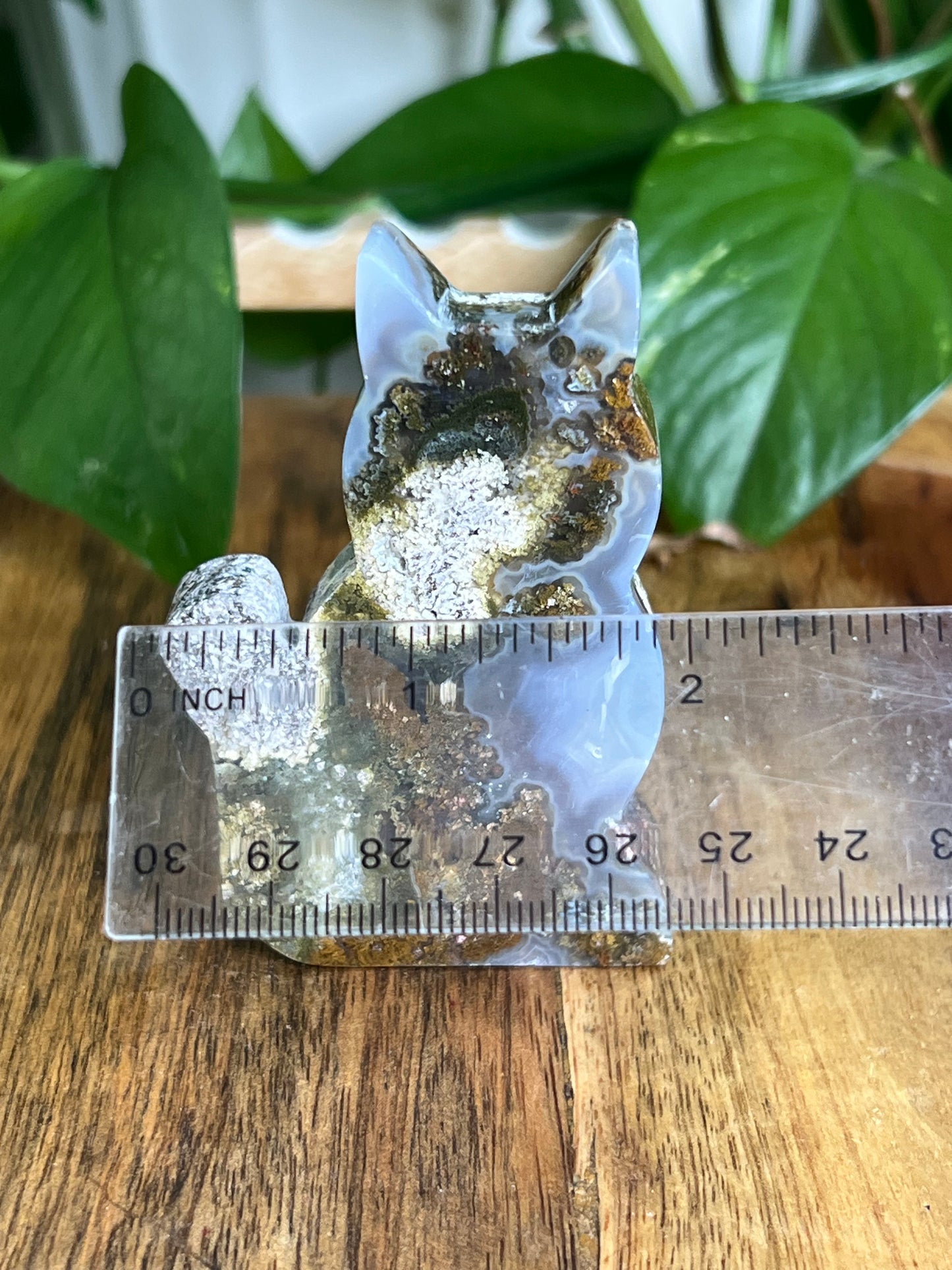 Scenic Moss Agate Cat HD