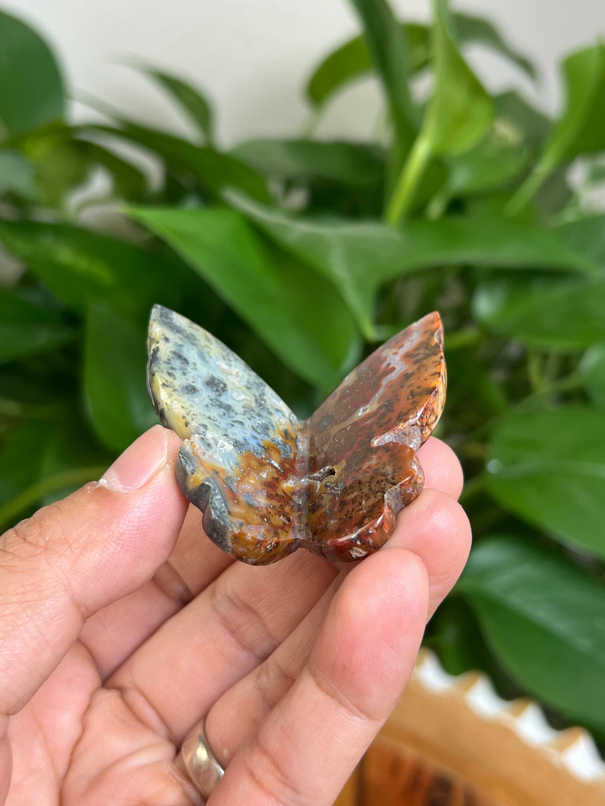 Marcasite 3D Butterfly: MA