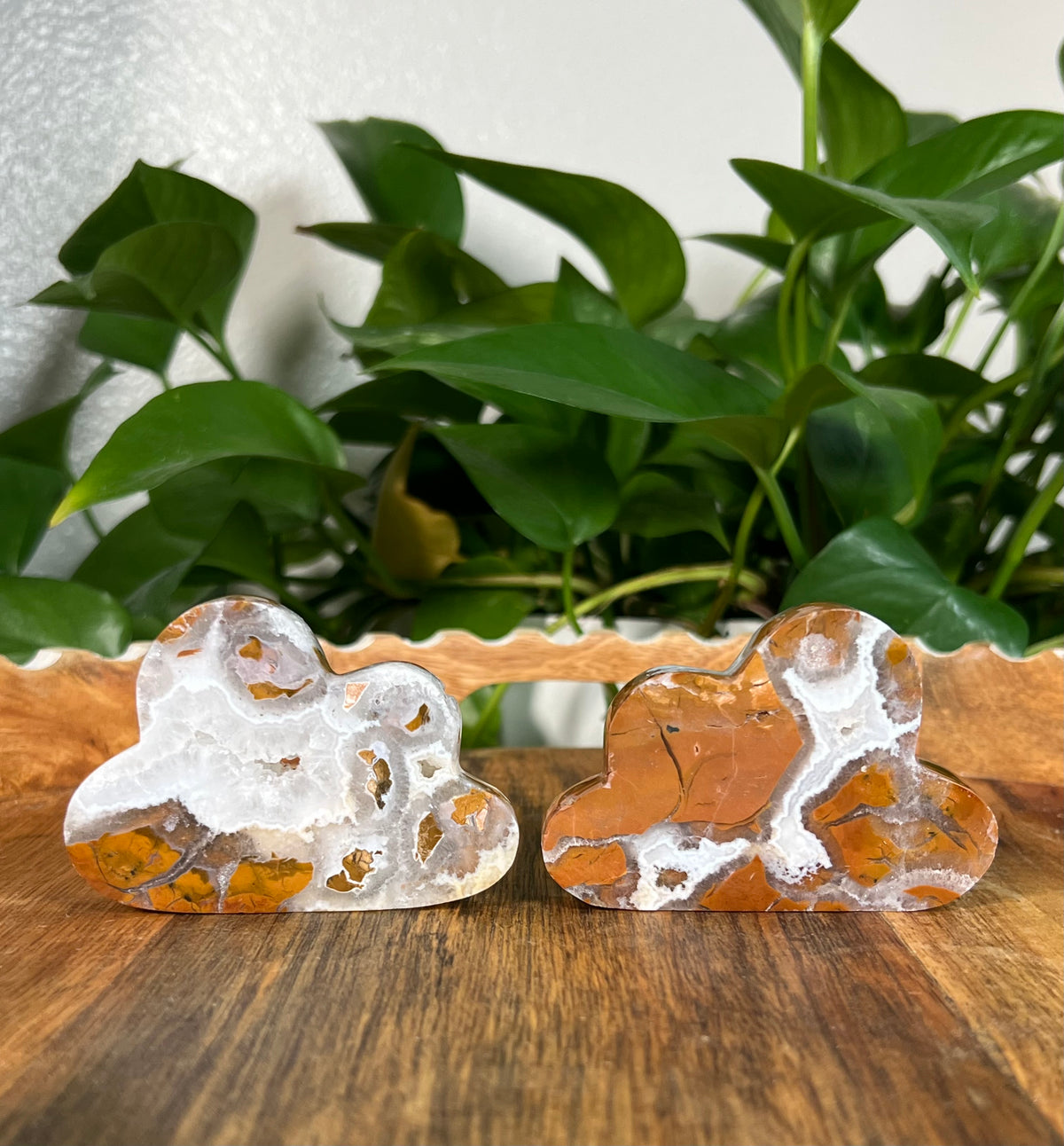Brecciated Jasper Clouds