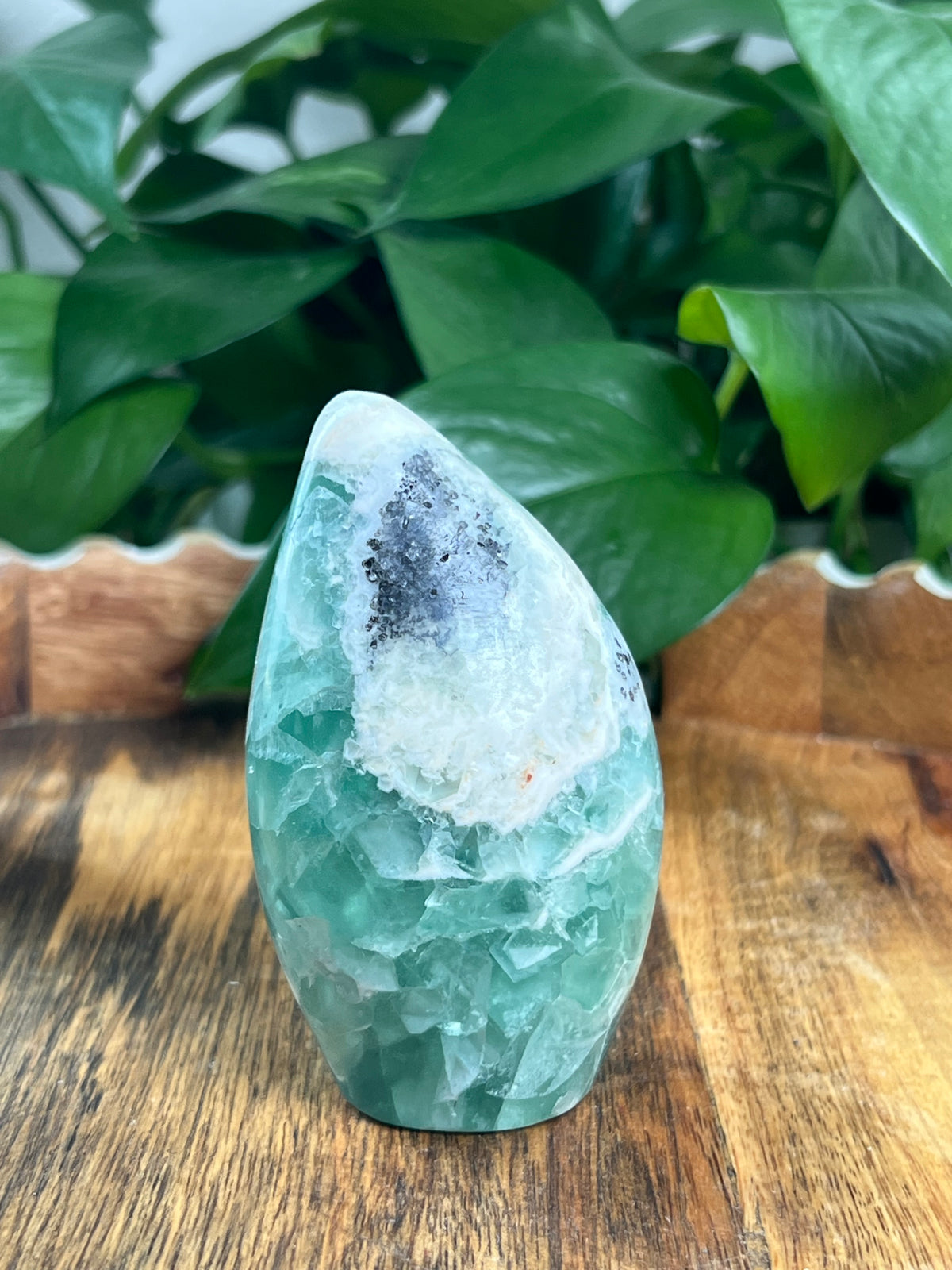 Mexican Flourite Freeform: K