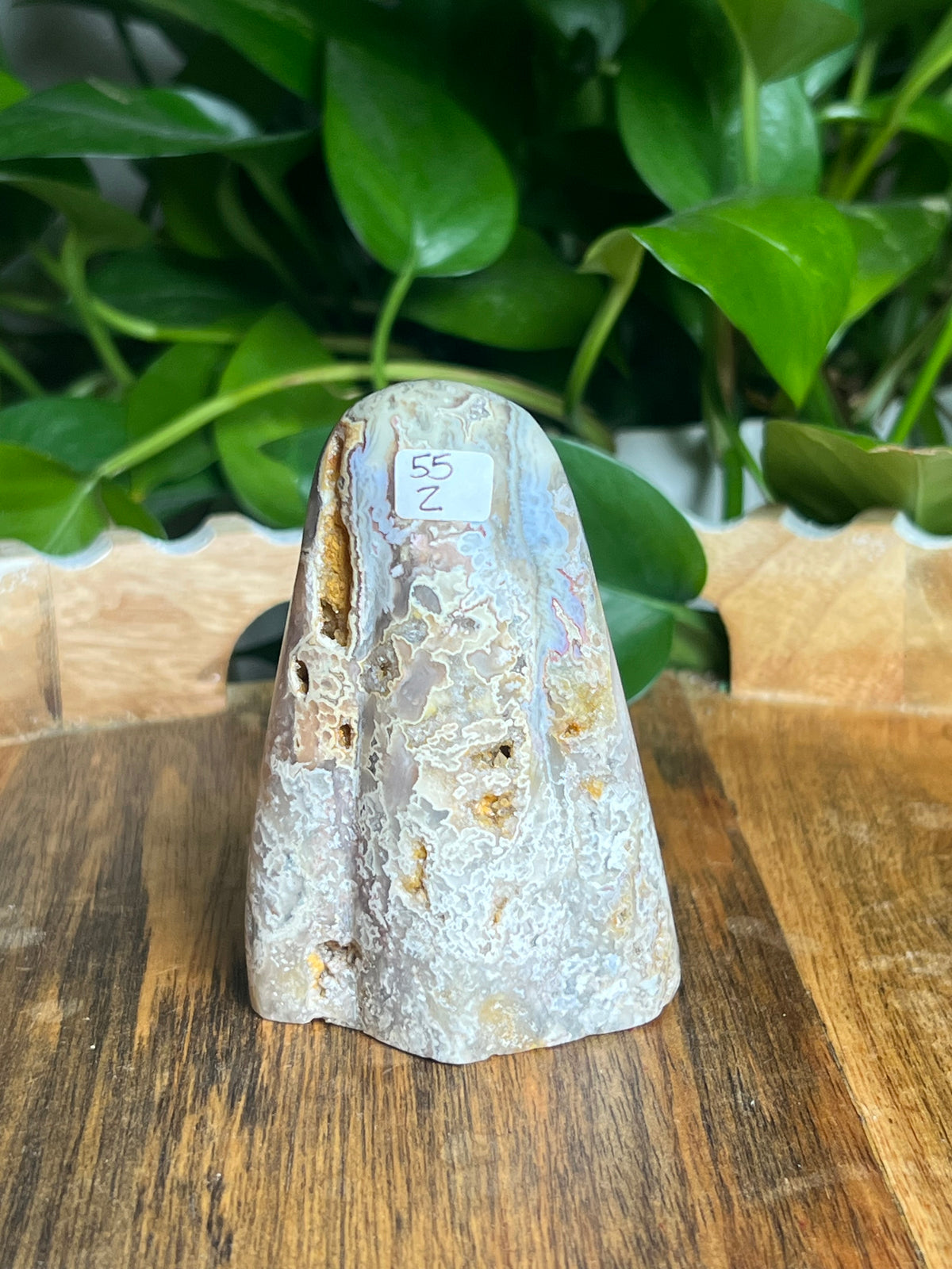 Sumatra Plume Agate Ghost: Z