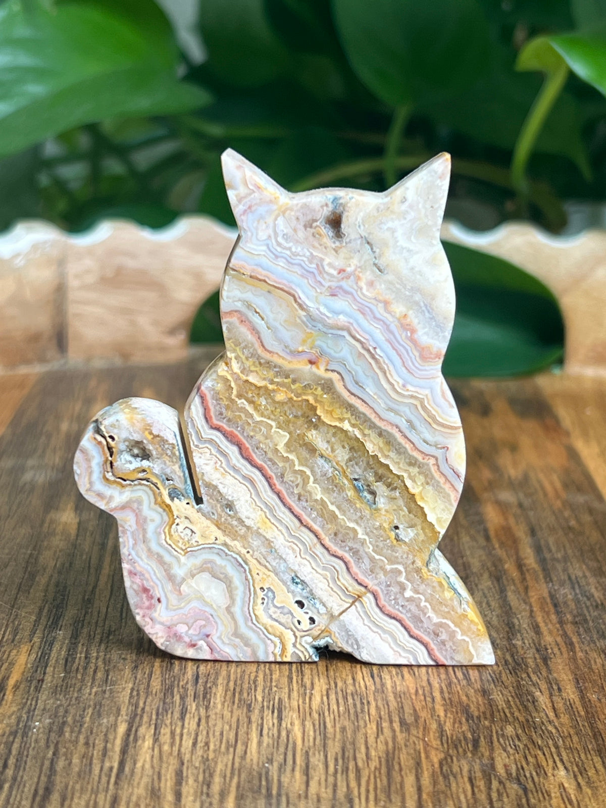 Crazy Lace Agate Cat: QN