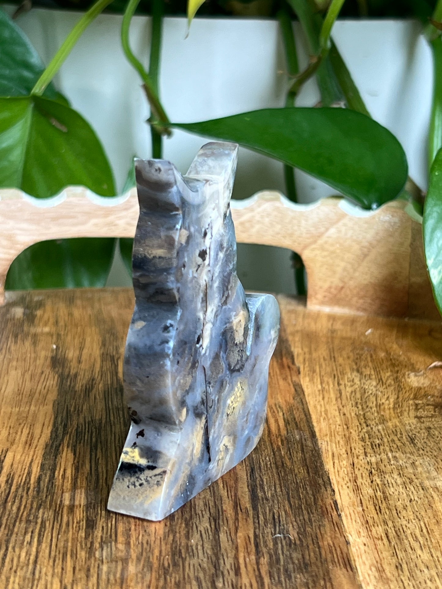 Dendritic Tiger Agate Cat AB