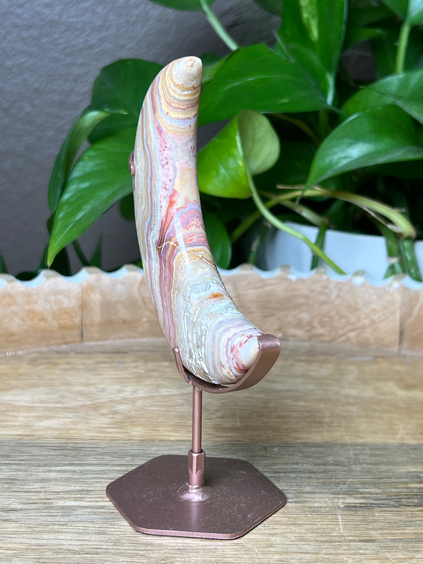 Crazy Lace Agate Moon