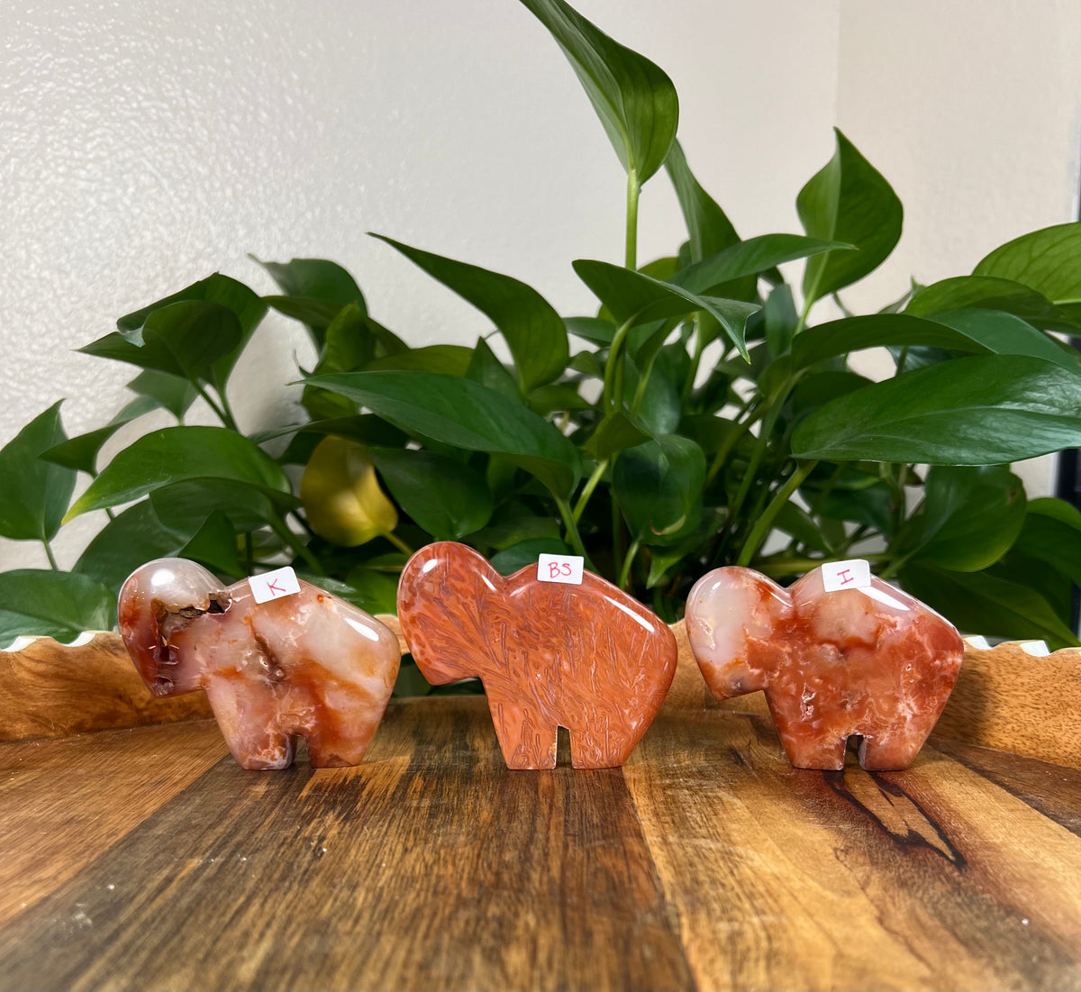 Red Carnelian Buffalos