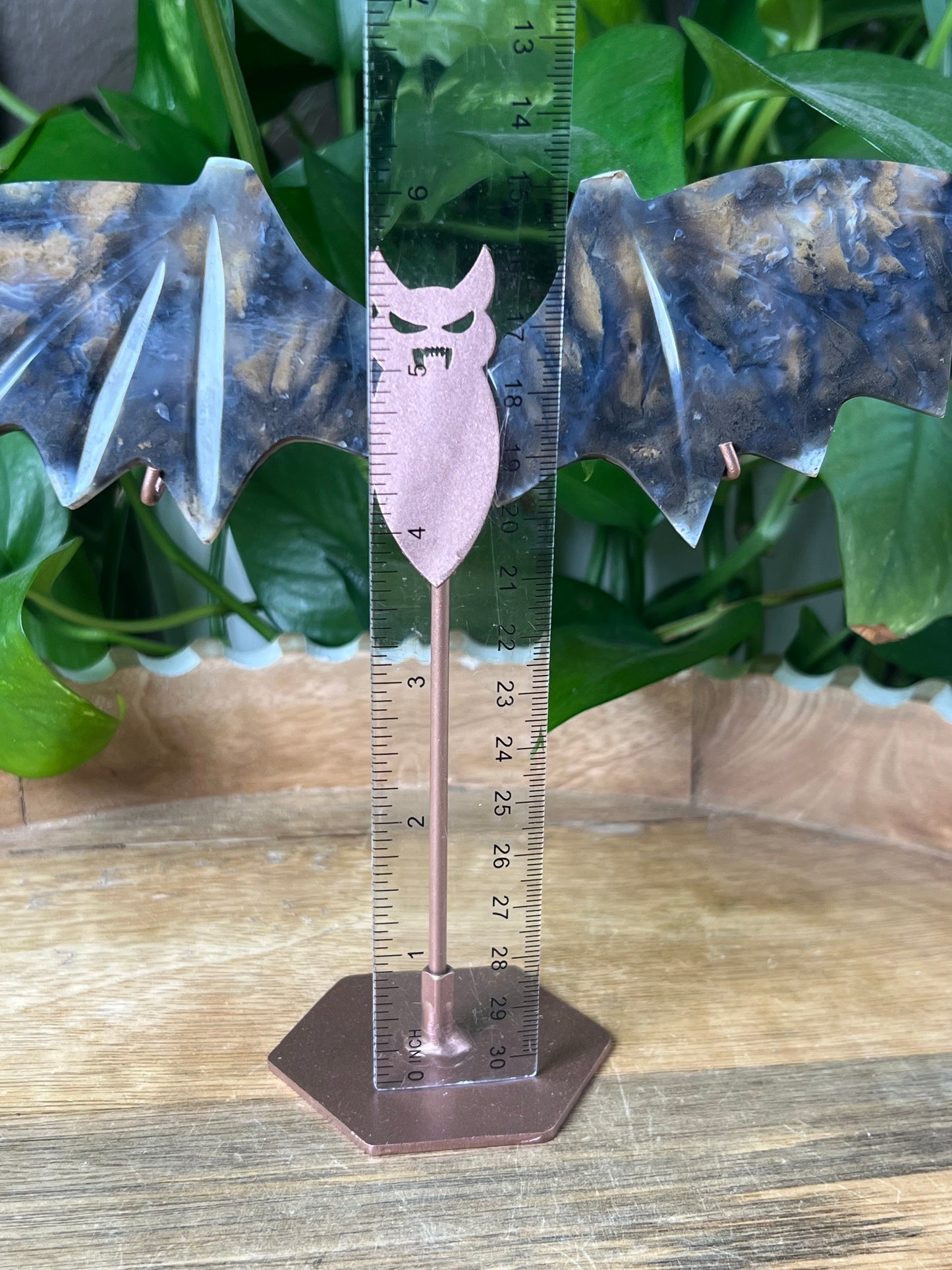 Dendritic Tiger Agate Bat Wings