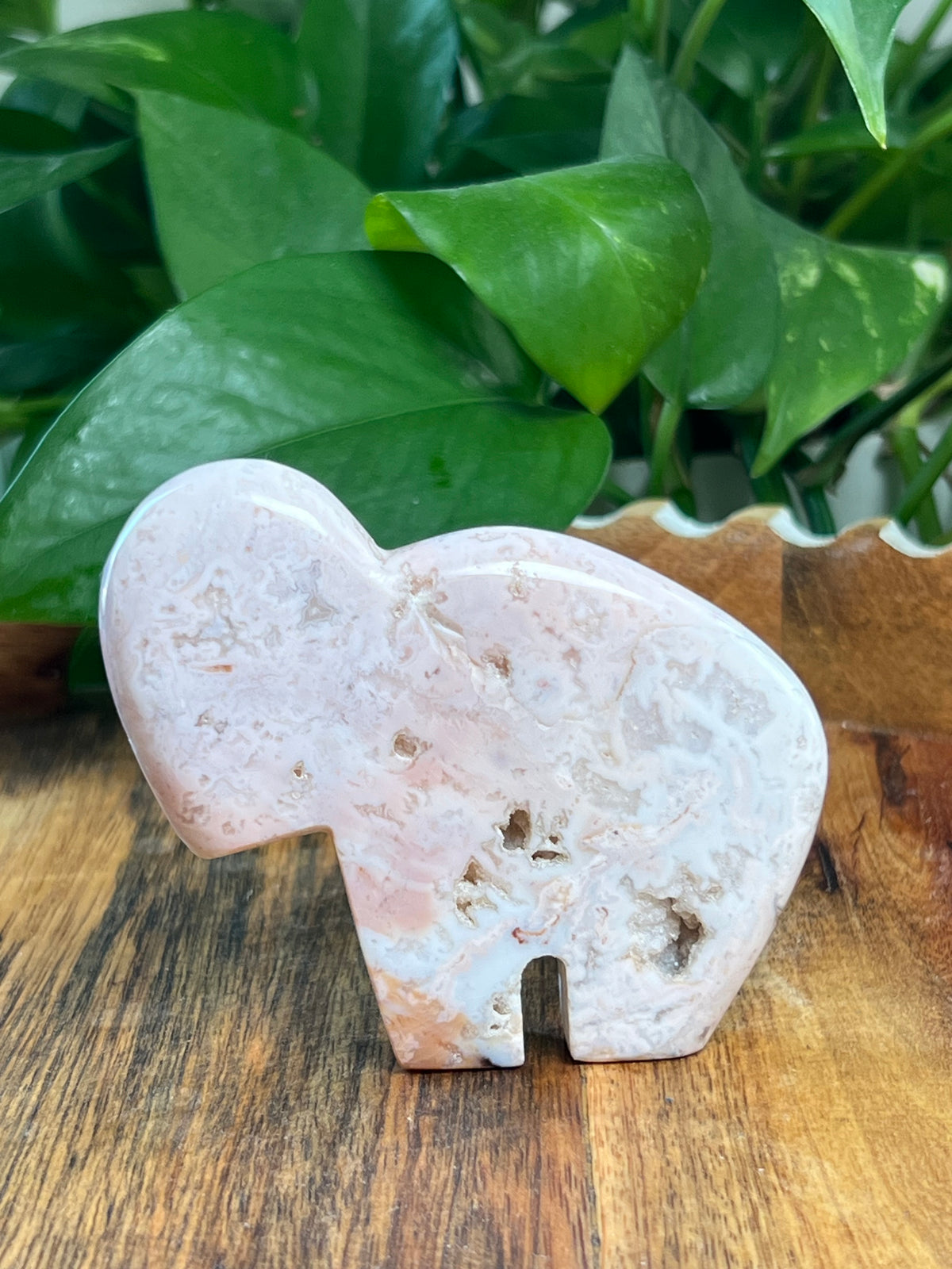Pink Carnelian Buffalo: VA