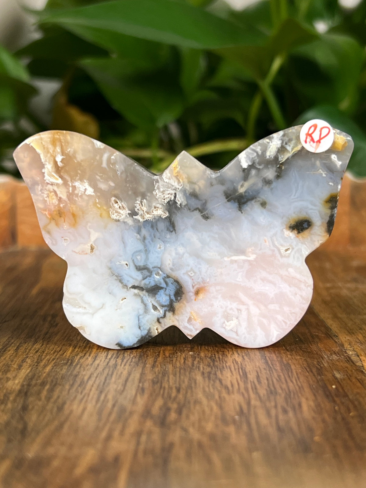 Rainbow Plume Agate Small Self Standing Butterflies
