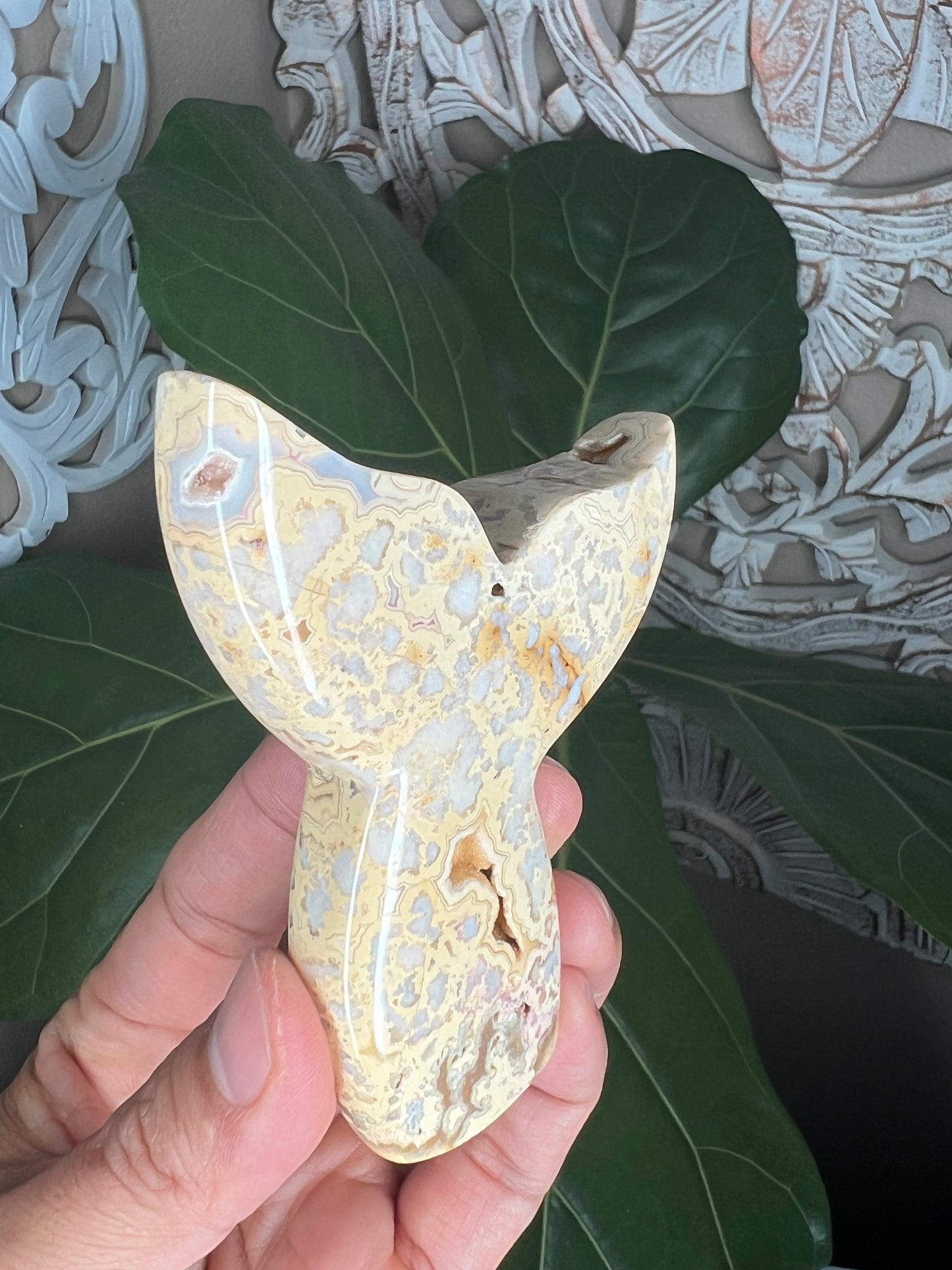 Crazy Lace Agate Tail