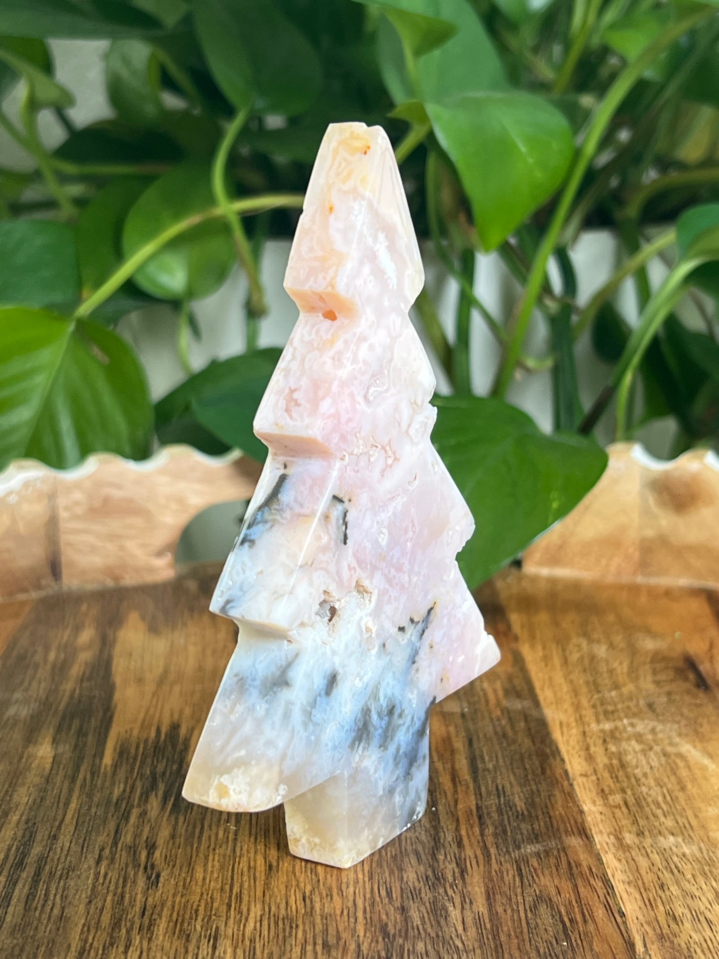 Rainbow Plume Agate Tree: DC