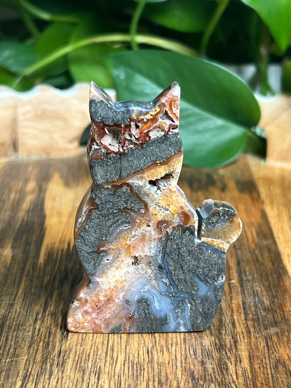 Marcasite Cat: DB