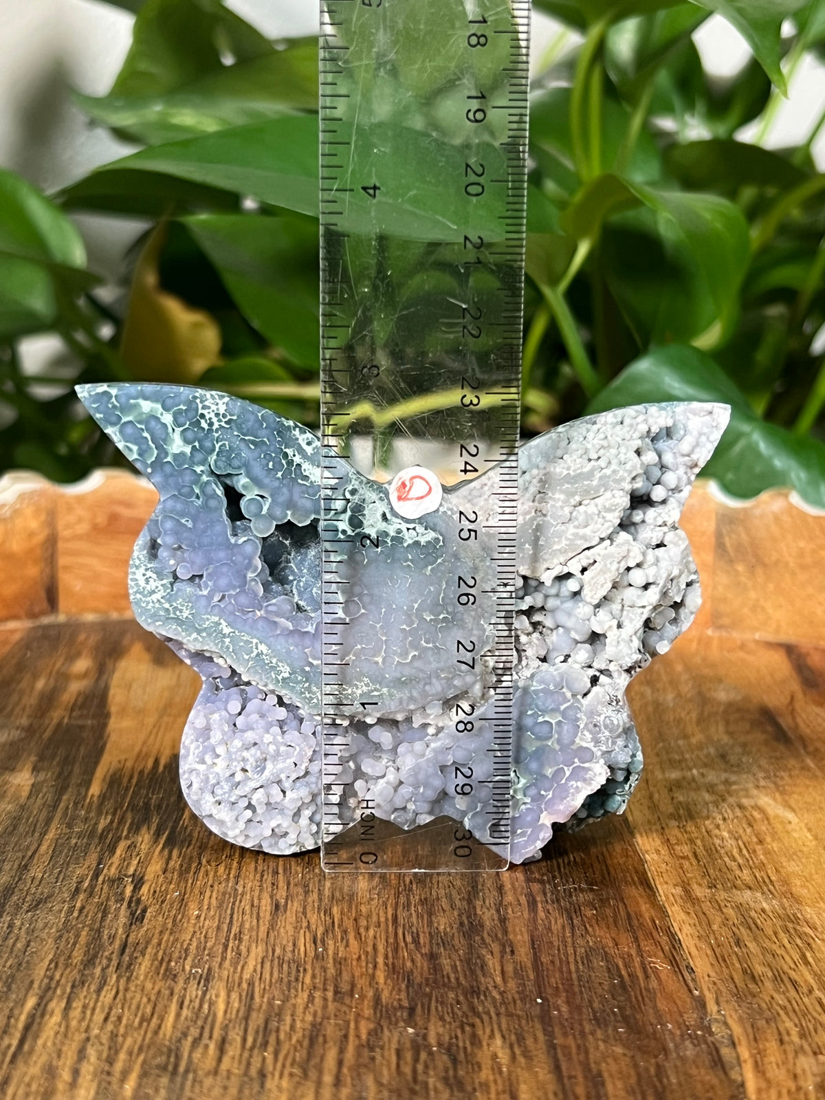 Grape Agate Butterflies